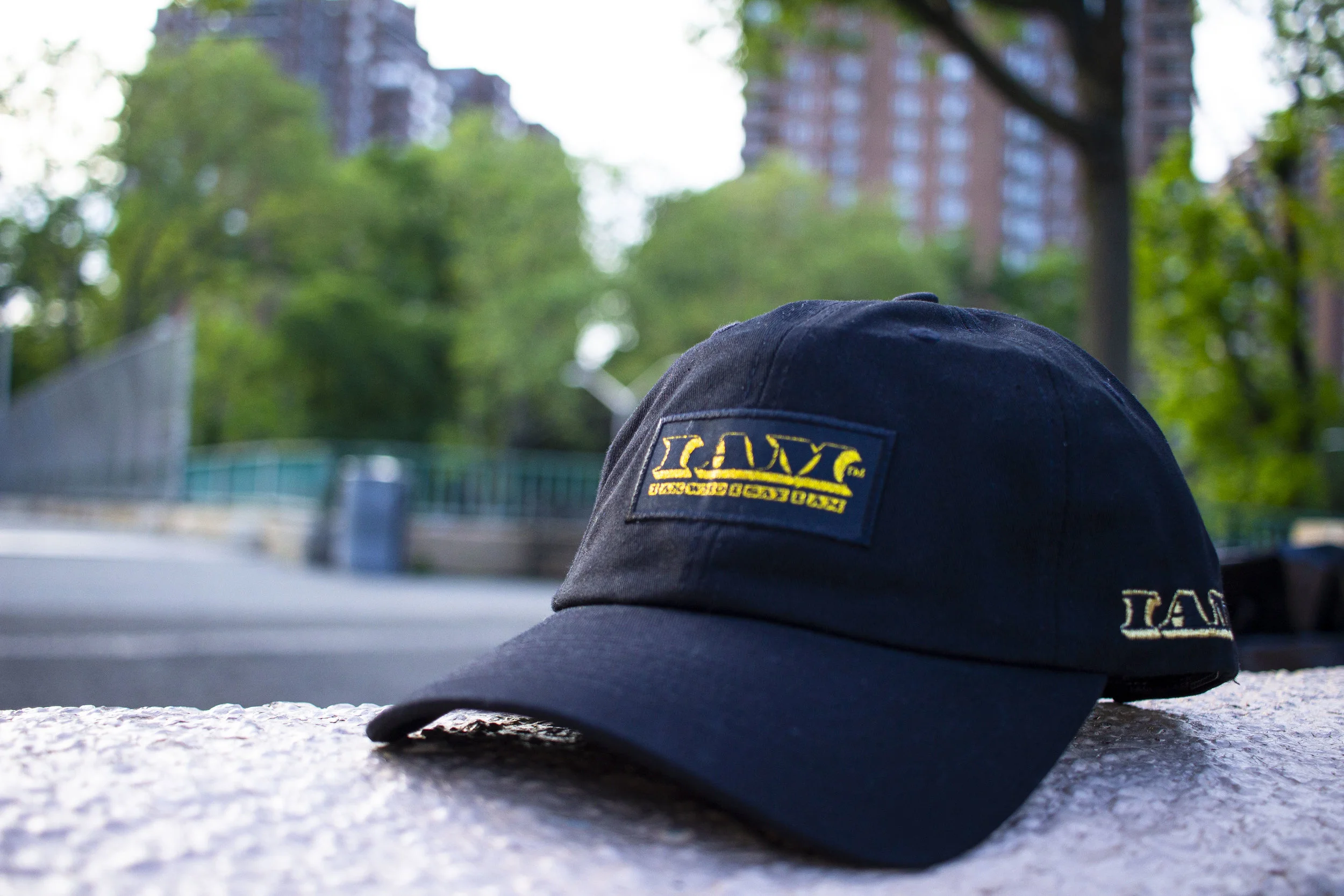 I AM WHO I SAY I AM® Dadcaps 