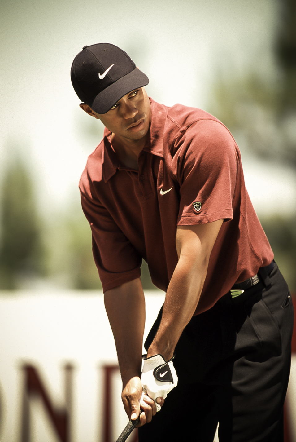 Asahi / Tiger Woods