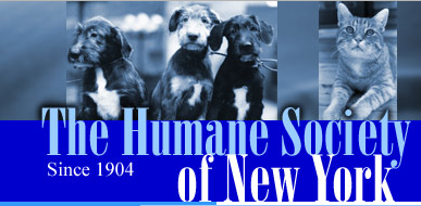 Humane Society of New York