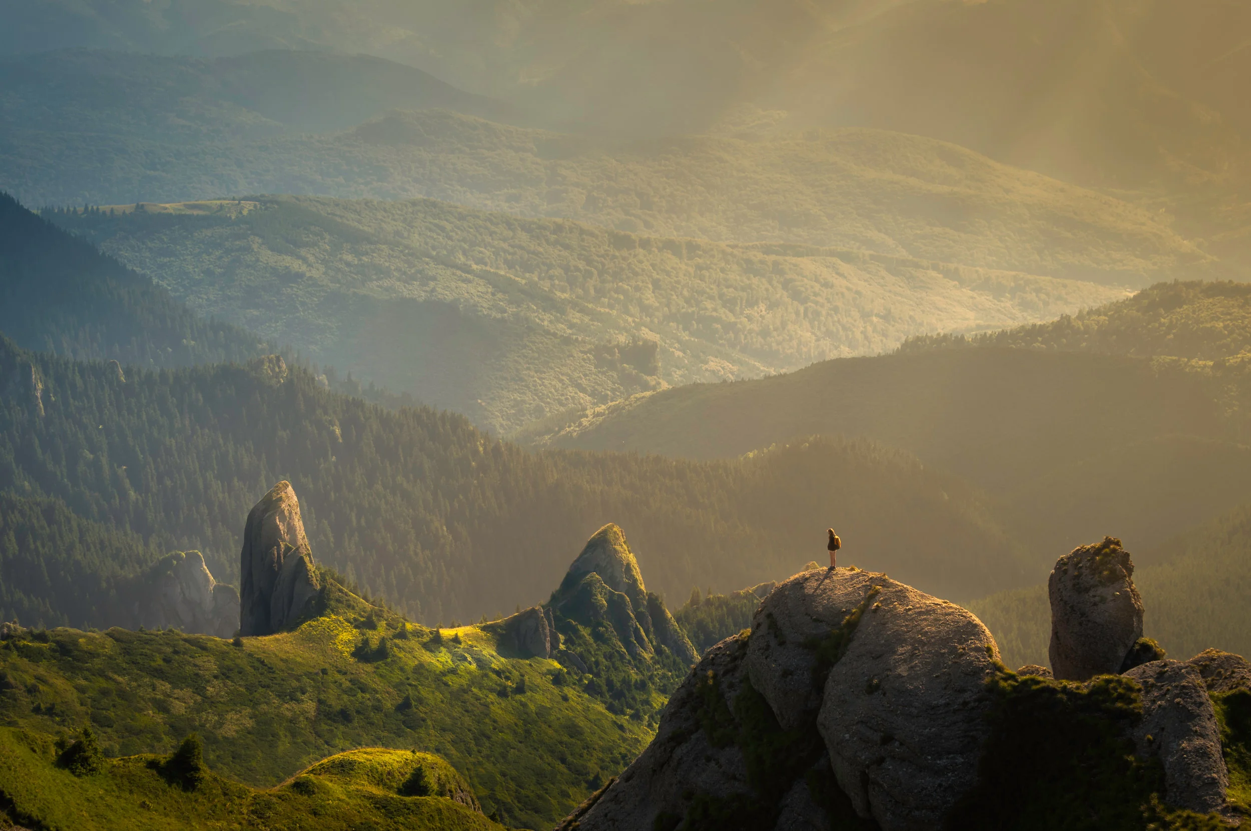 Photographer: David Marcu