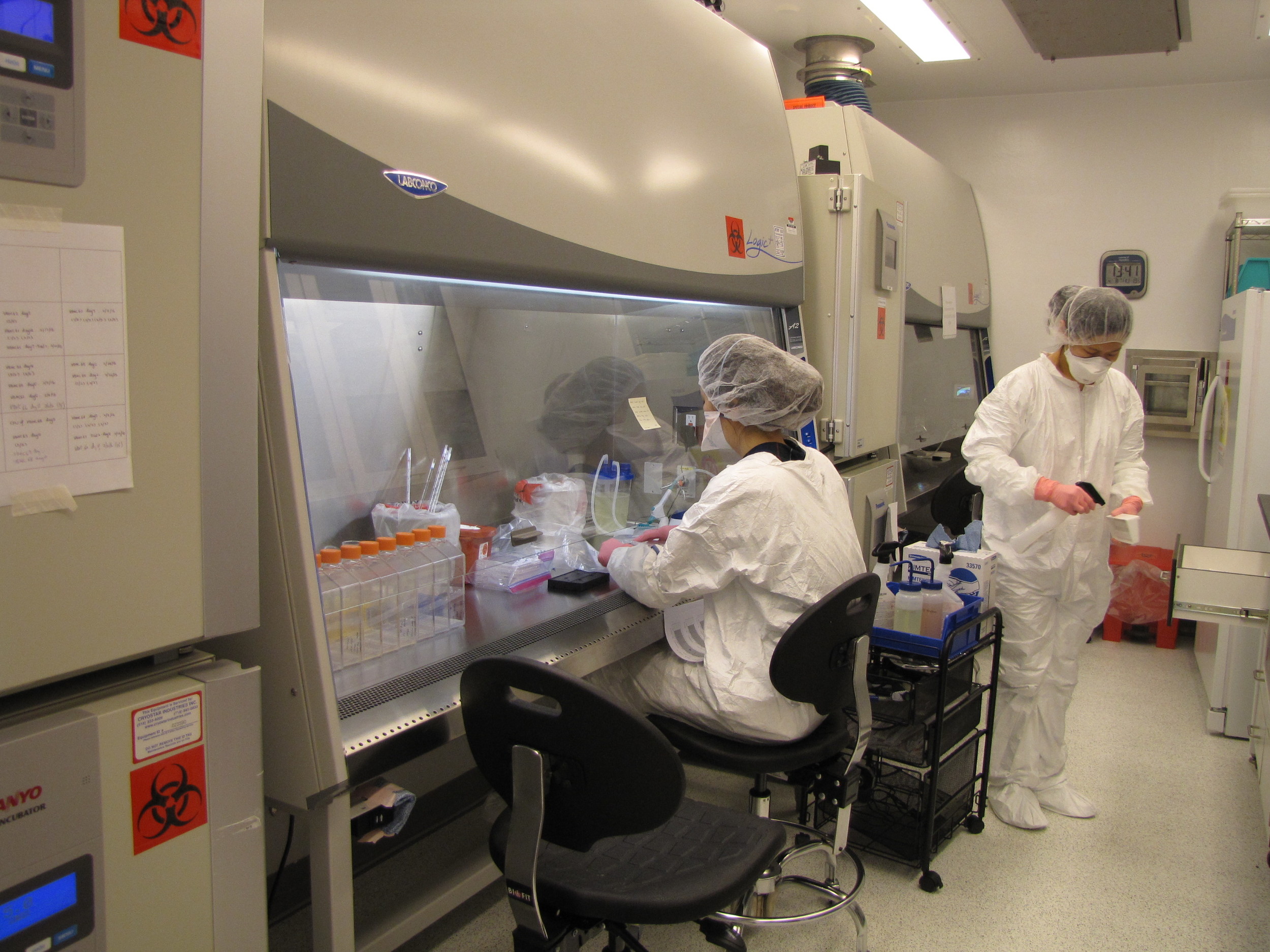 One of the rooms in the BSL3 facility.