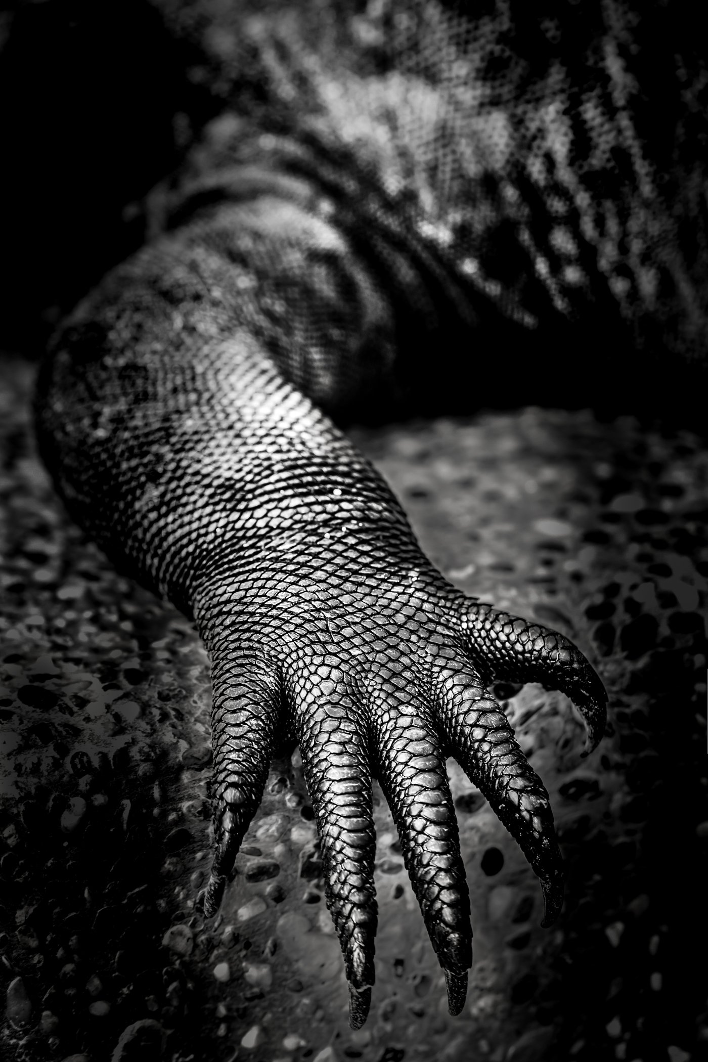 A9X00295-Editar-Editar.jpg