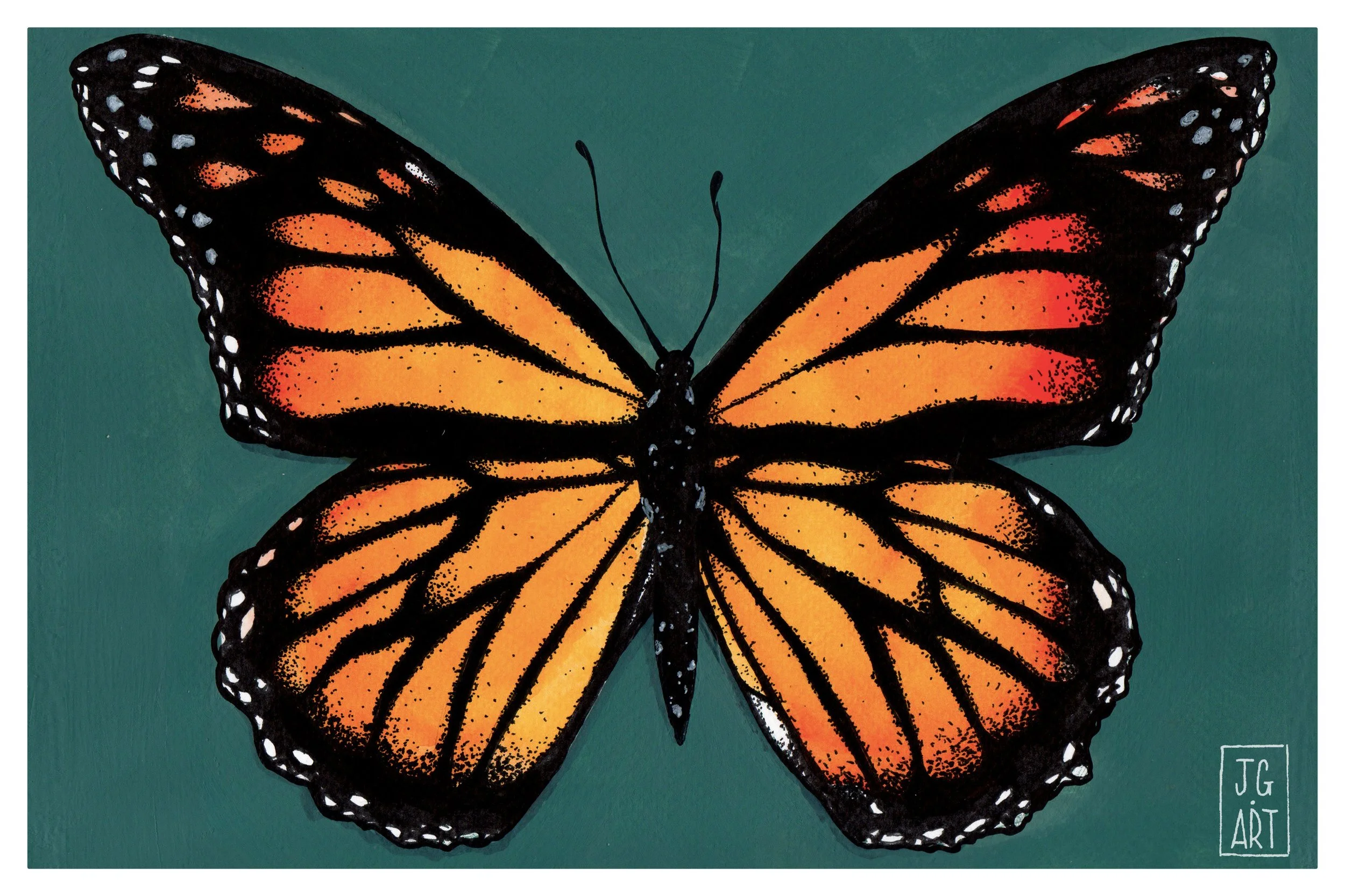Winged 3.jpg