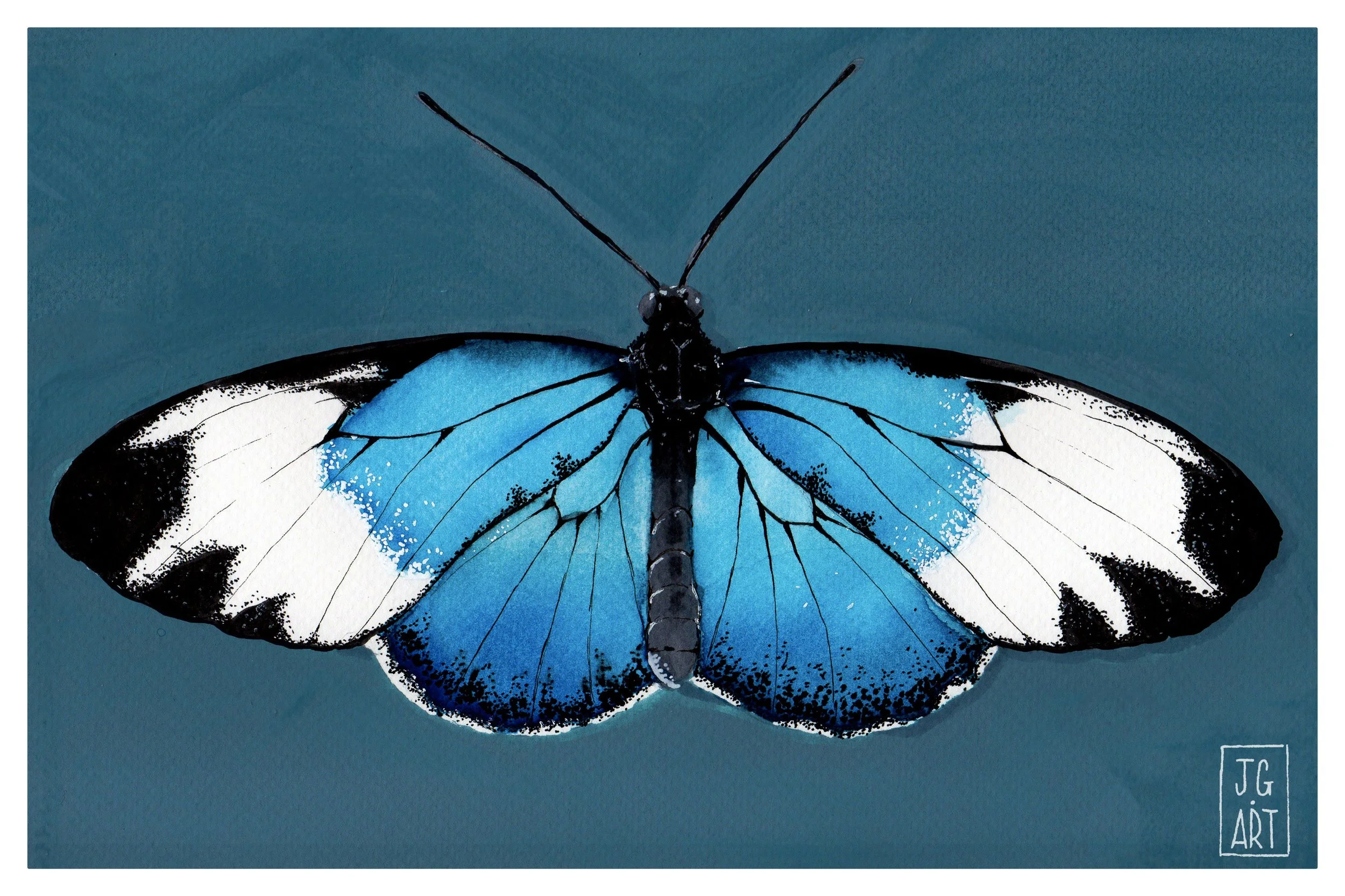 Winged 2.jpg