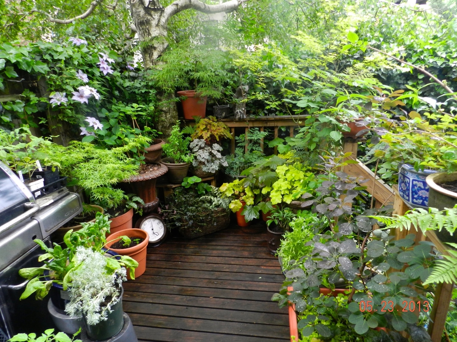 Container Garden Gallery | Philadelphia | City Garden Guru