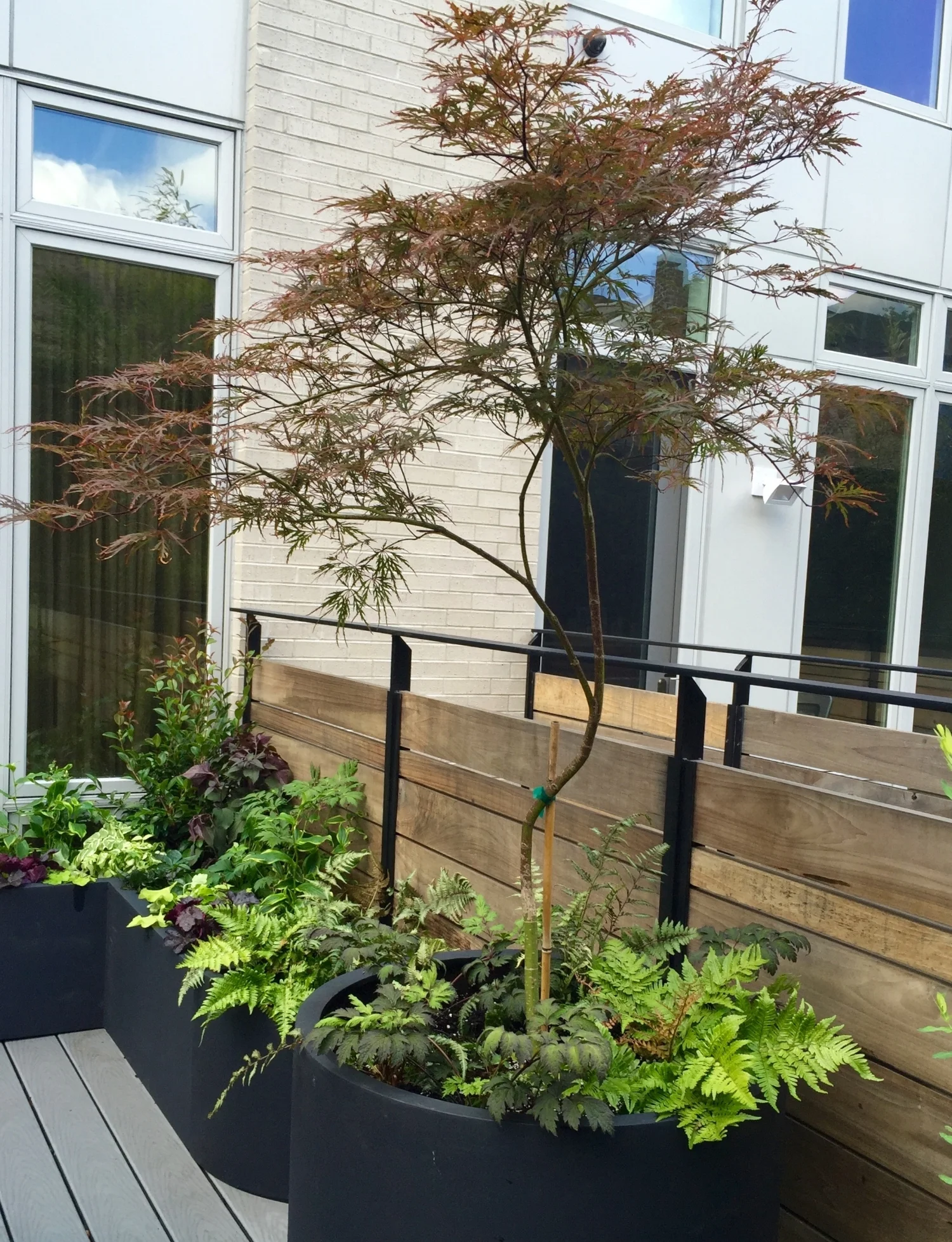 Olde City Deck AFTER