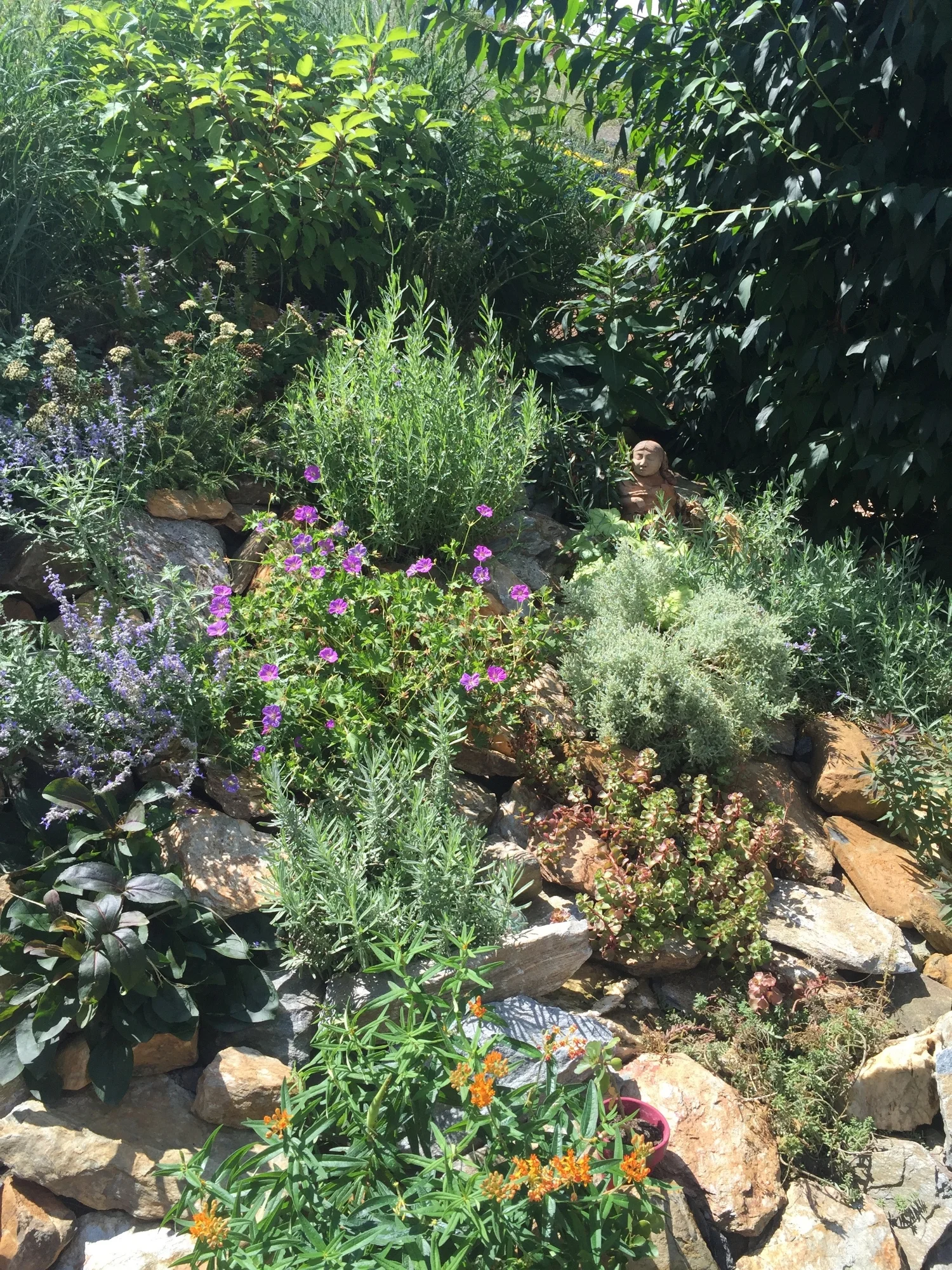 Hill / Rock Garden AFTER