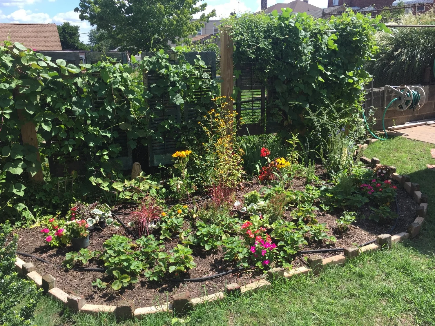 Cutting Garden Just Planted AFTER