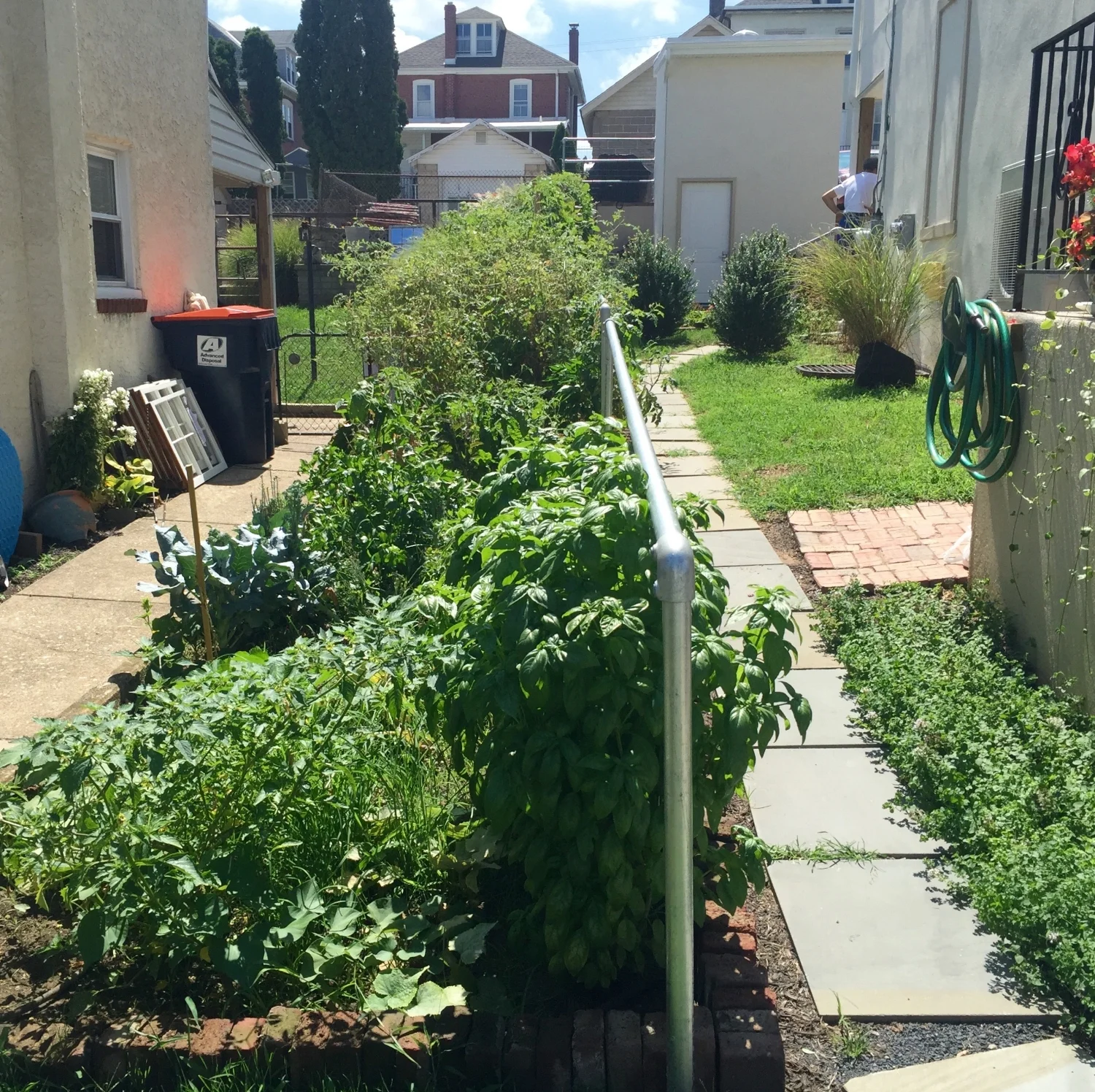 Edible Garden in Front Side Yard AFTER