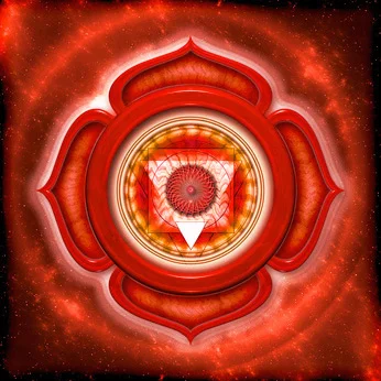 Mit dem Wurzelchakra starten wir in die neue Kursperiode