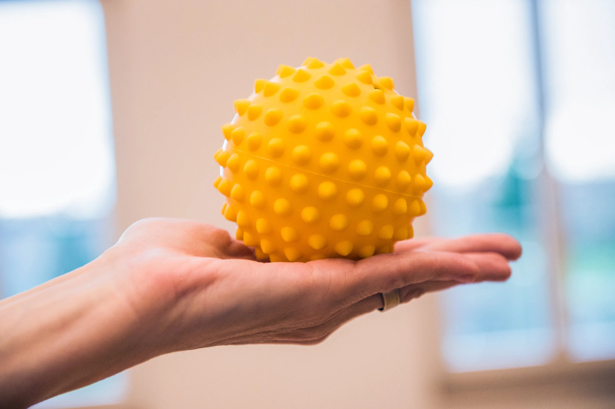 Workshop - Slings - myofasziales Training