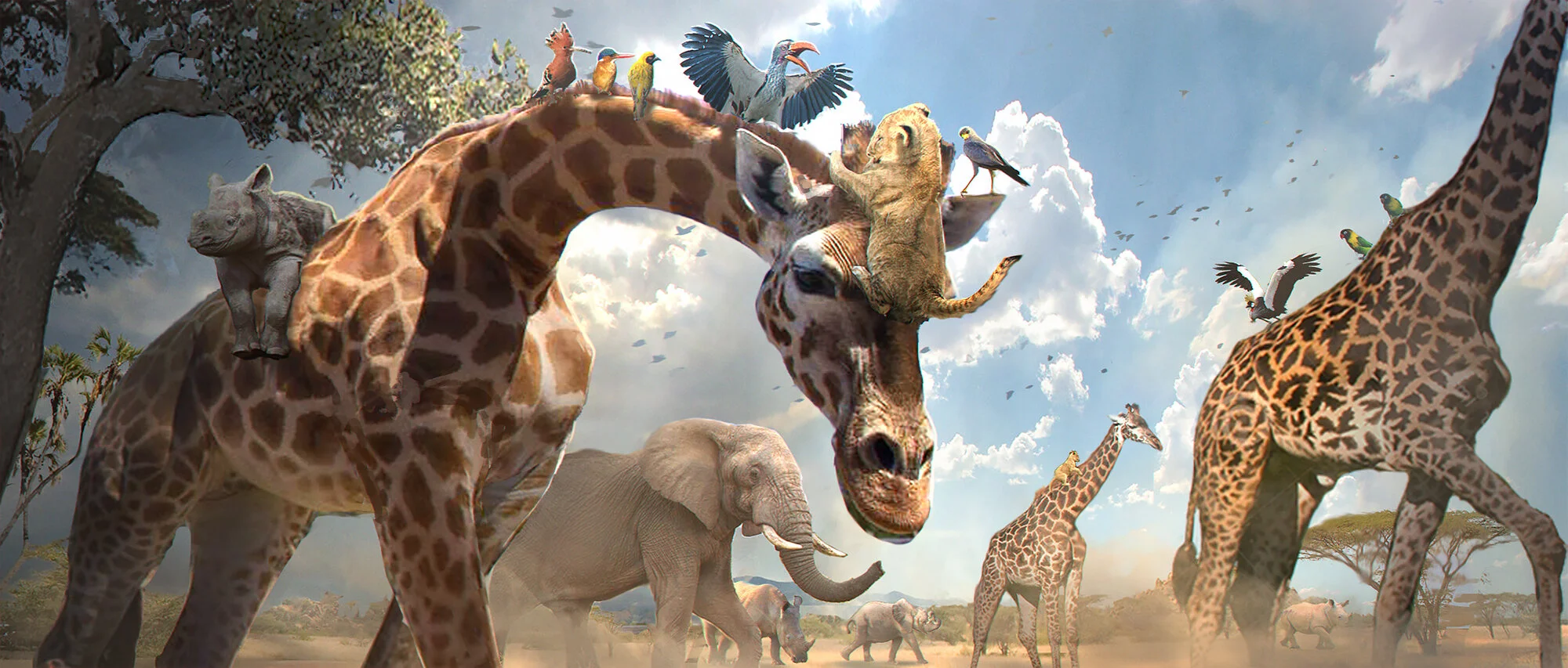 Lion King 2019 Concept Art
