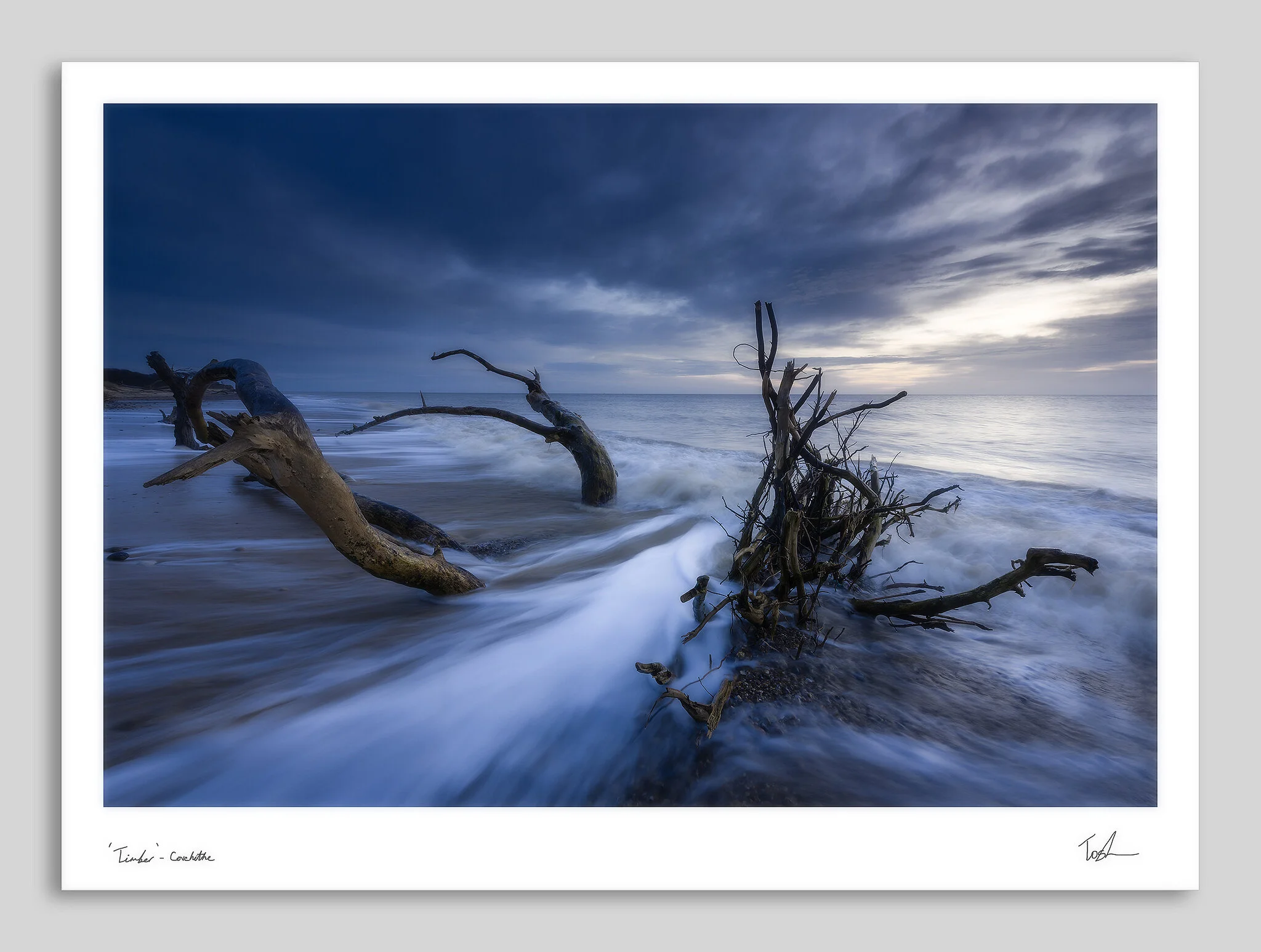 Timber- not-ofw sharpened- 2048 px.jpg