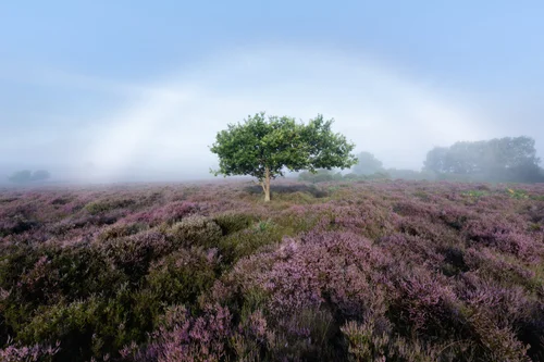 Photography By Tosh Photography By Tosh