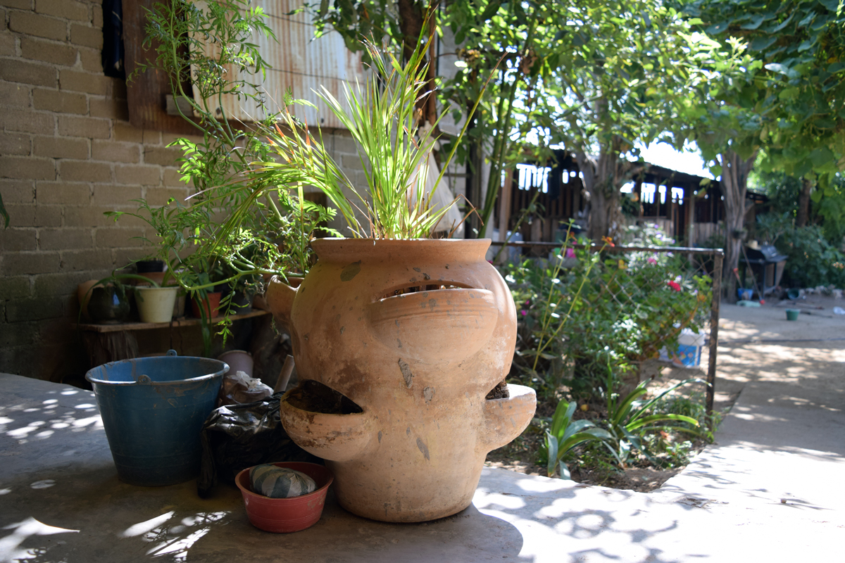 DSC_0001-2.jpg
