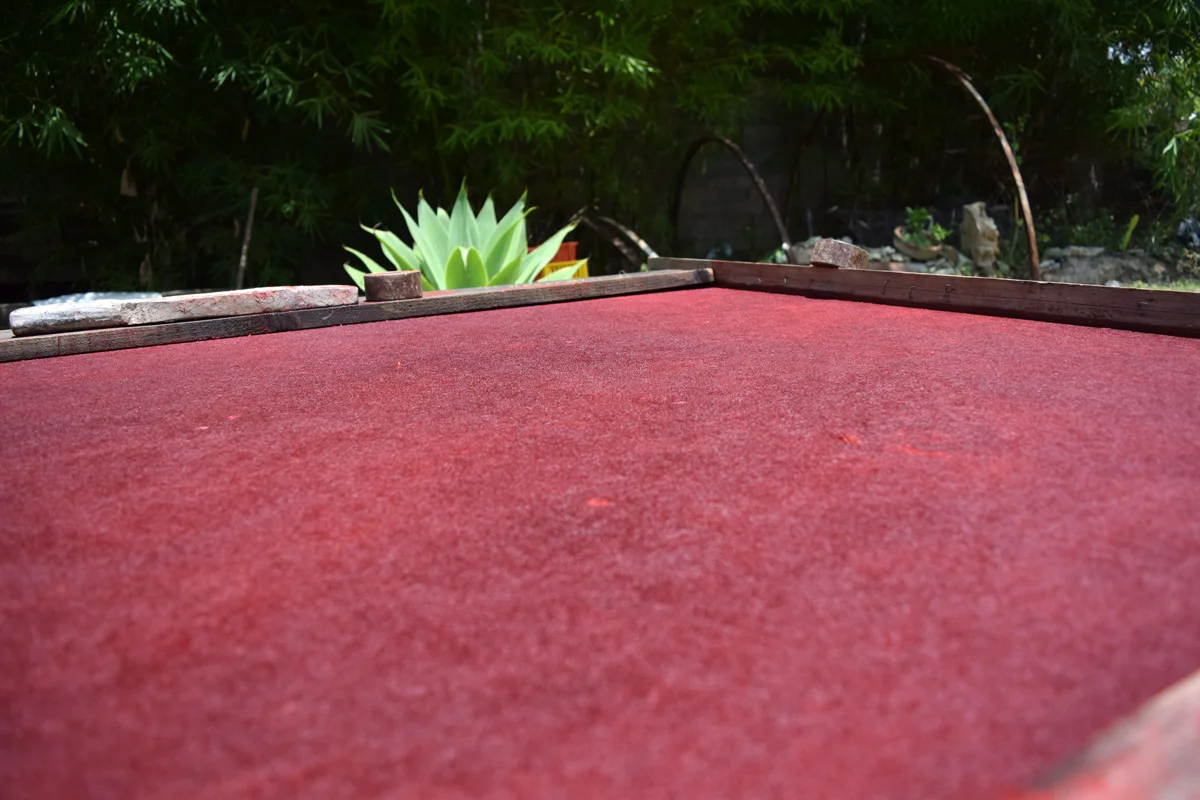DSC_0074.jpg