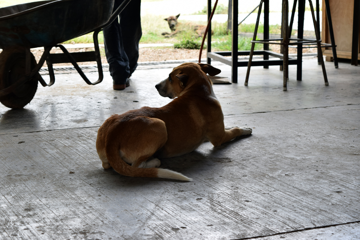 DSC_0109.jpg