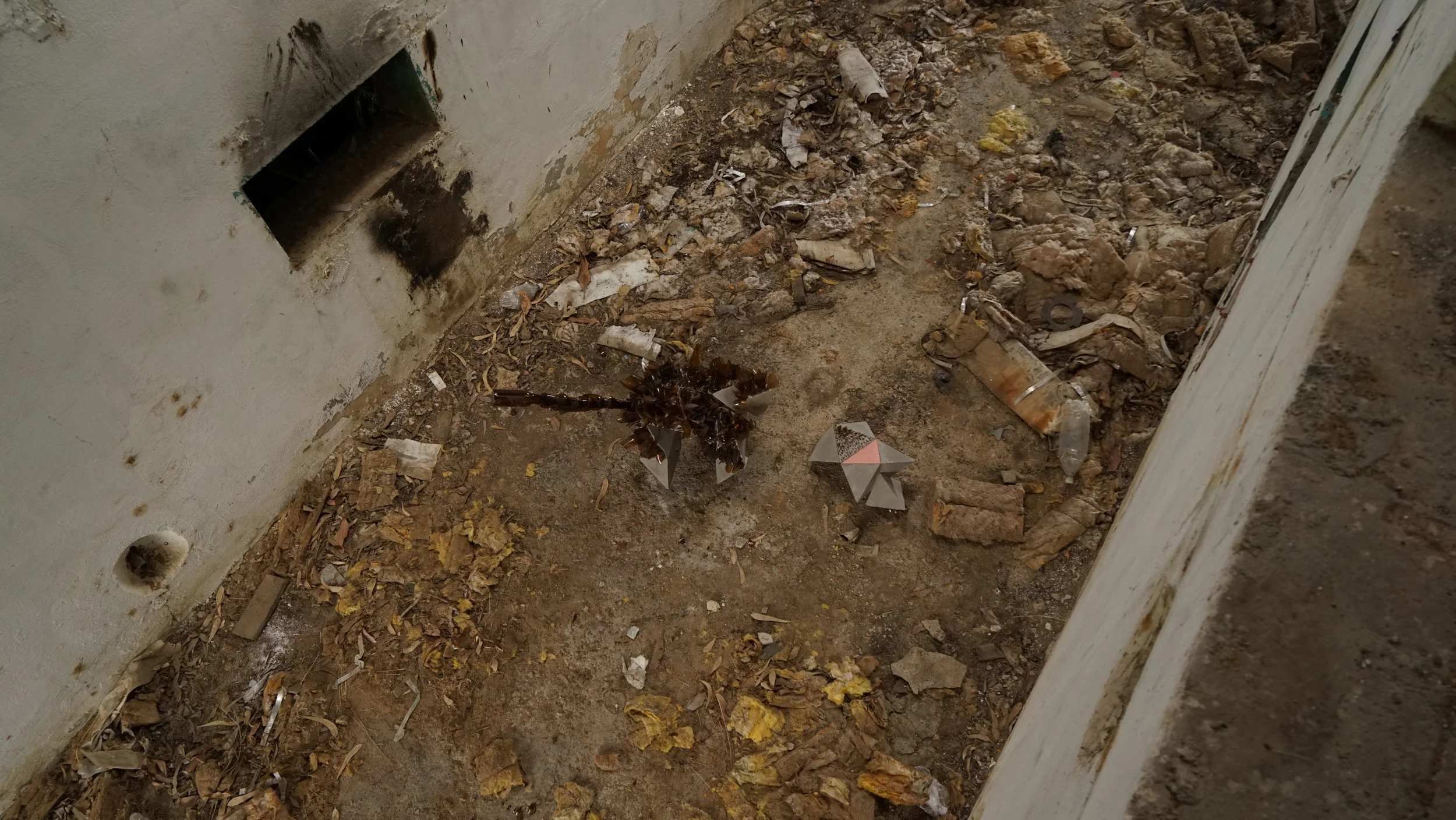 DSC08975.JPG