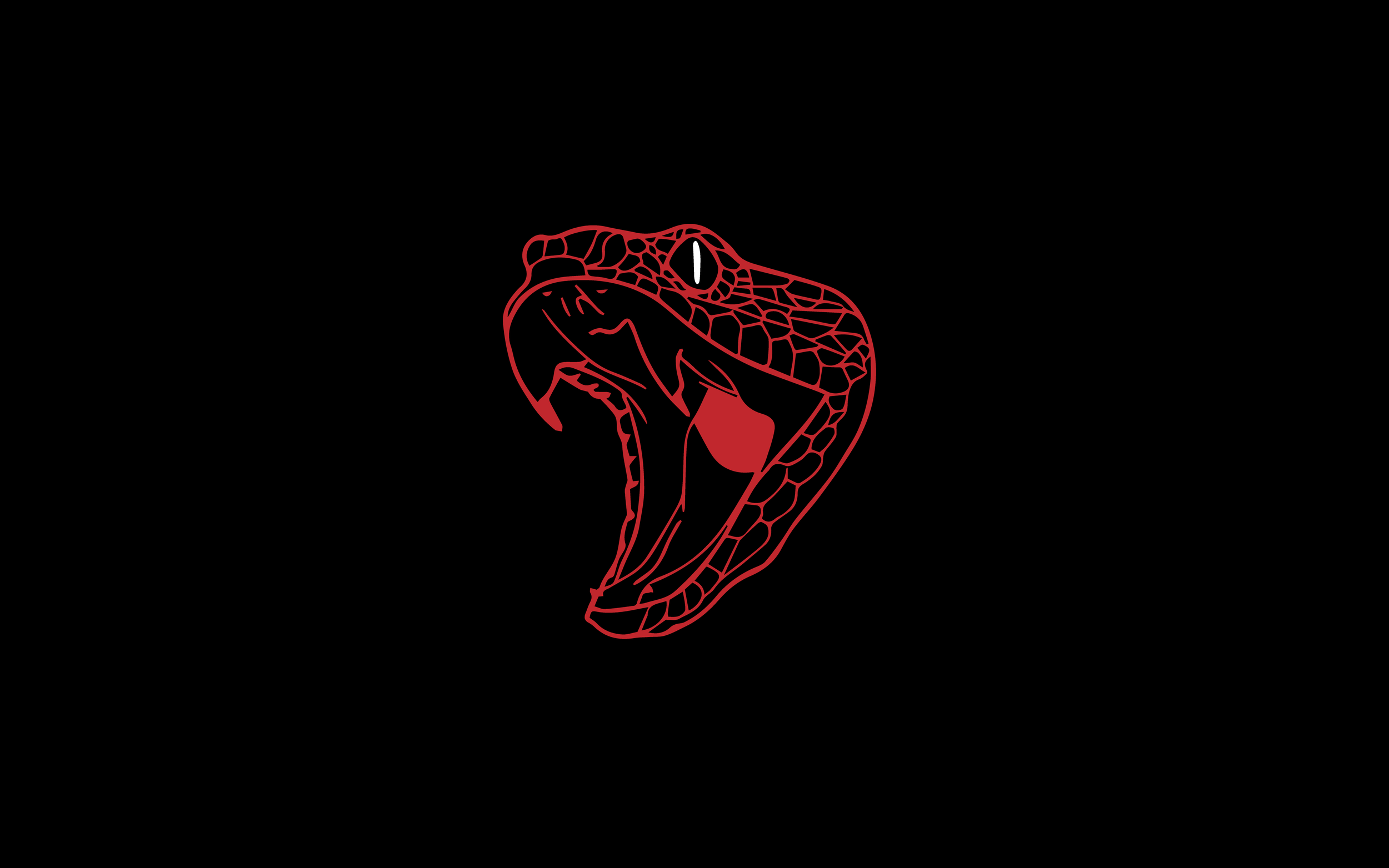 Vessel TTV Web Cover-07.png