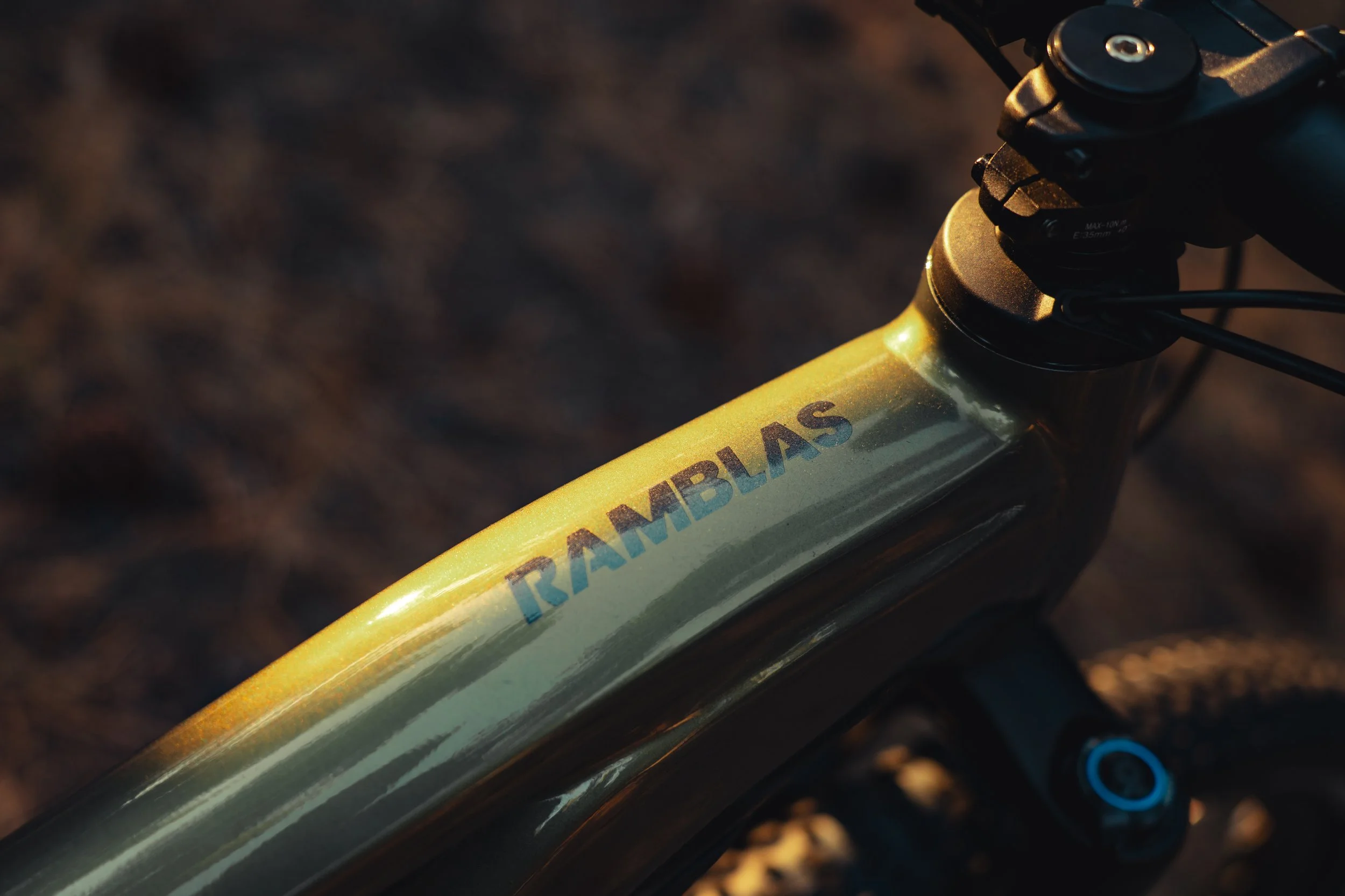 Product logo for Ramblas eMTB