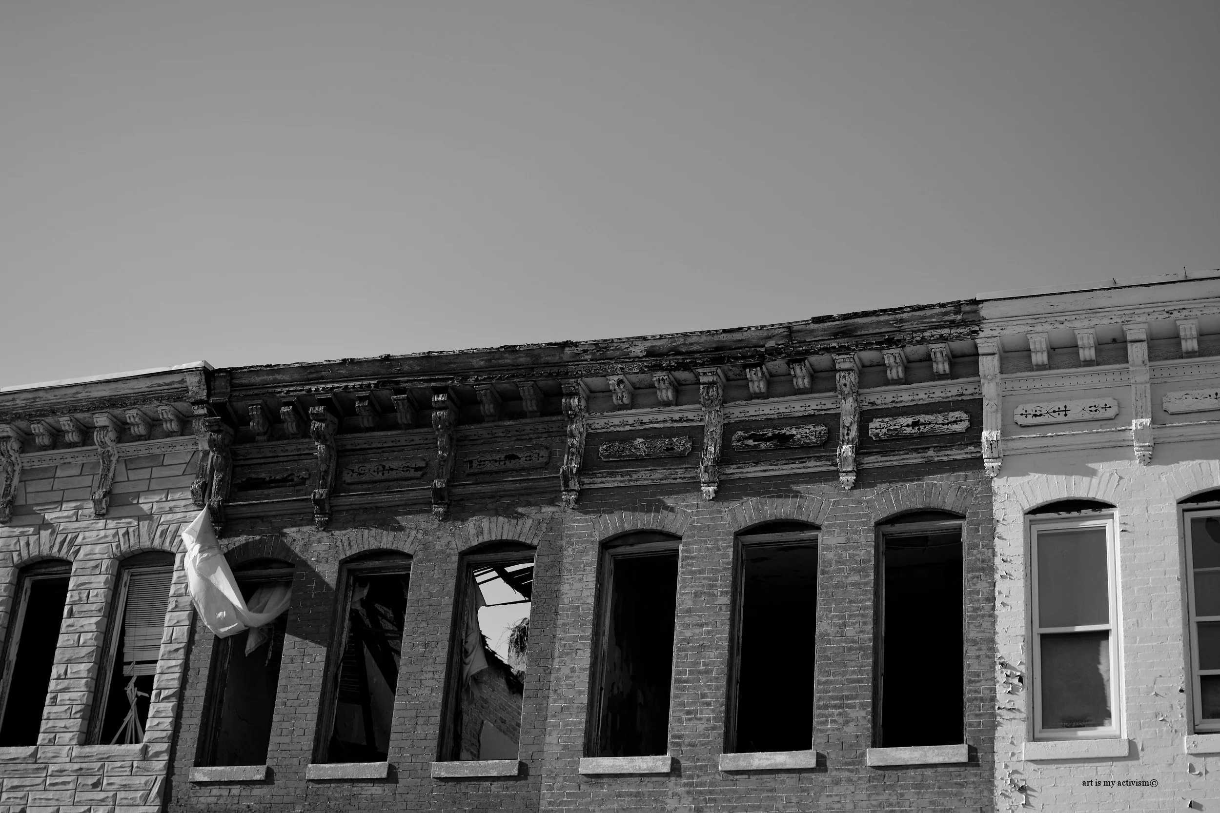 _DSC7385.jpg