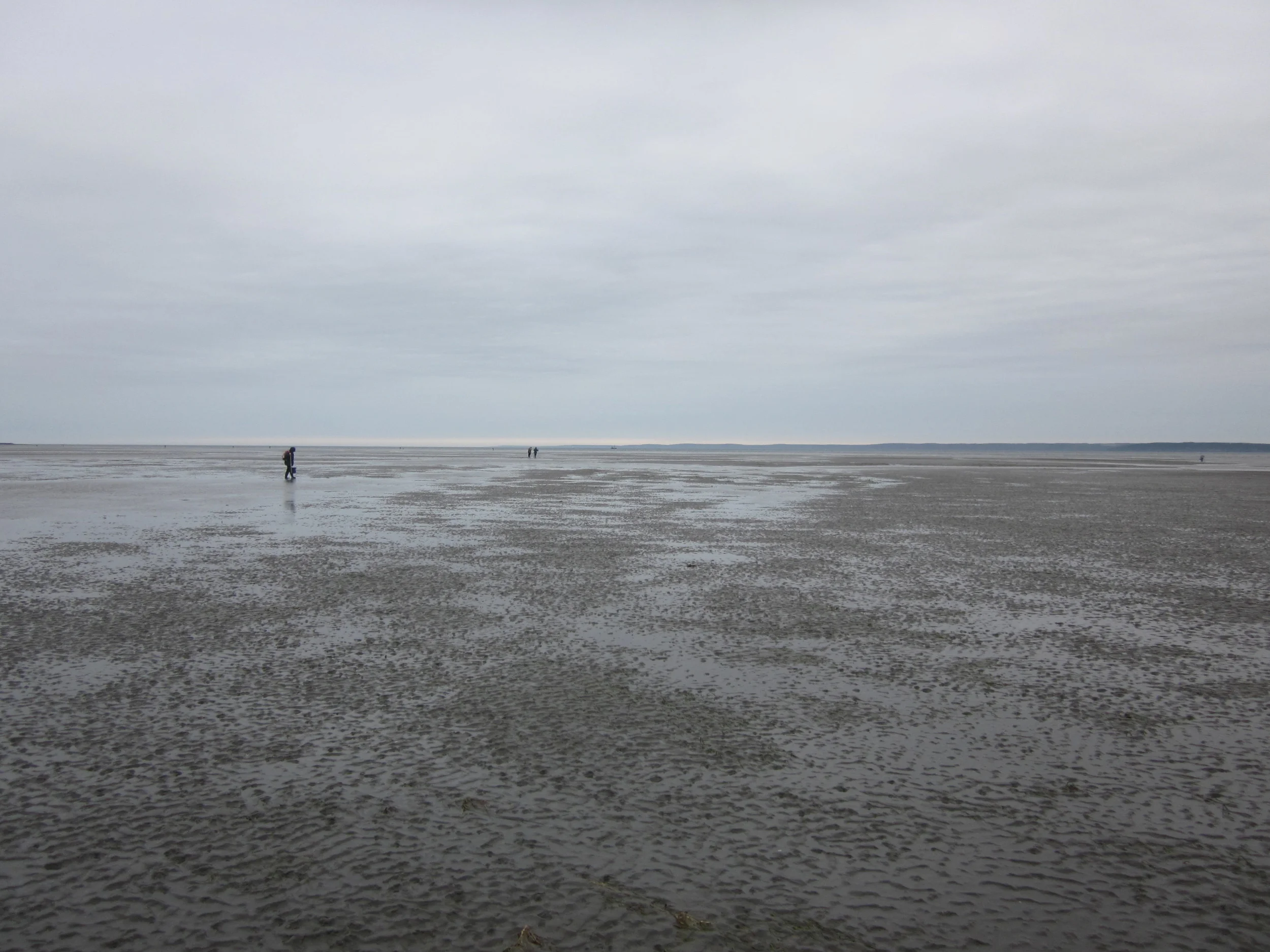 Copy of Pêcheurs de coques aux grandes marées / Clam diggers at spring tide.