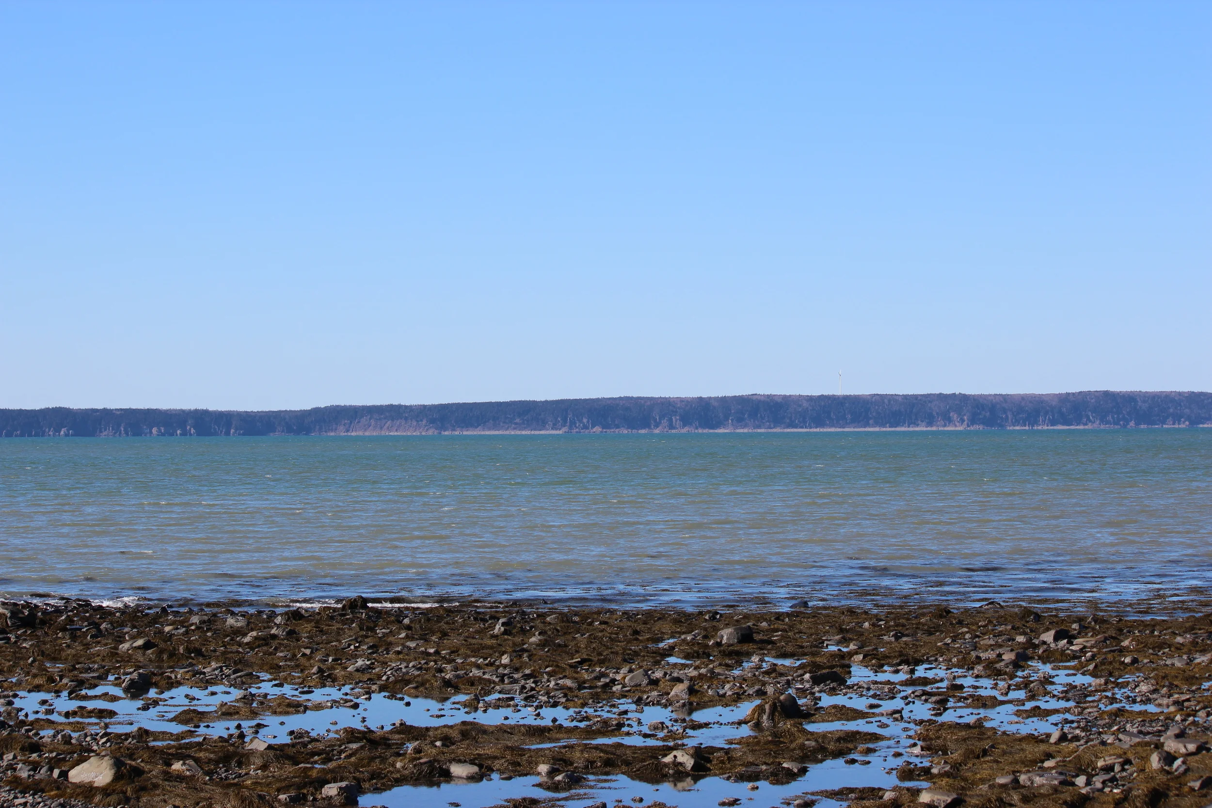 Copy of Baie Ste-Marie / St. Mary's Bay
