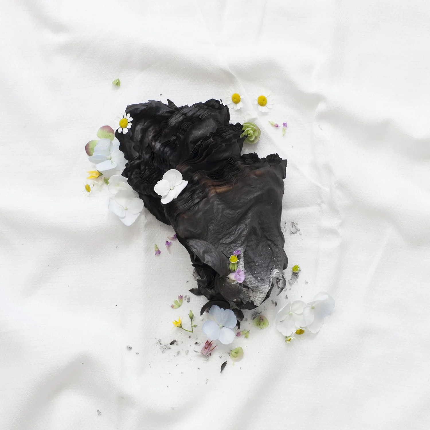 BURNT BOOK SERIES