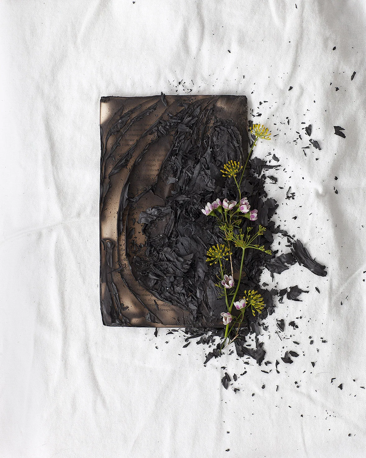 BURNT BOOK SERIES