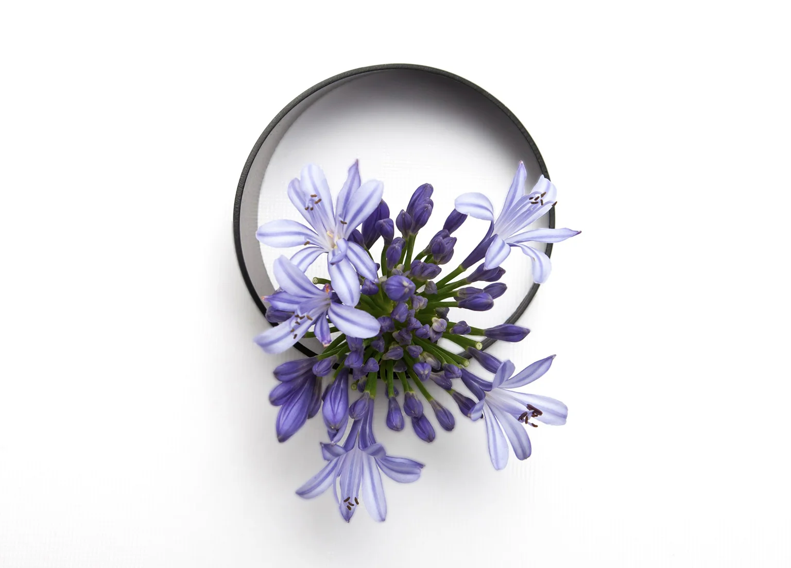 BANA ASYMMETRICAL BUD VASE