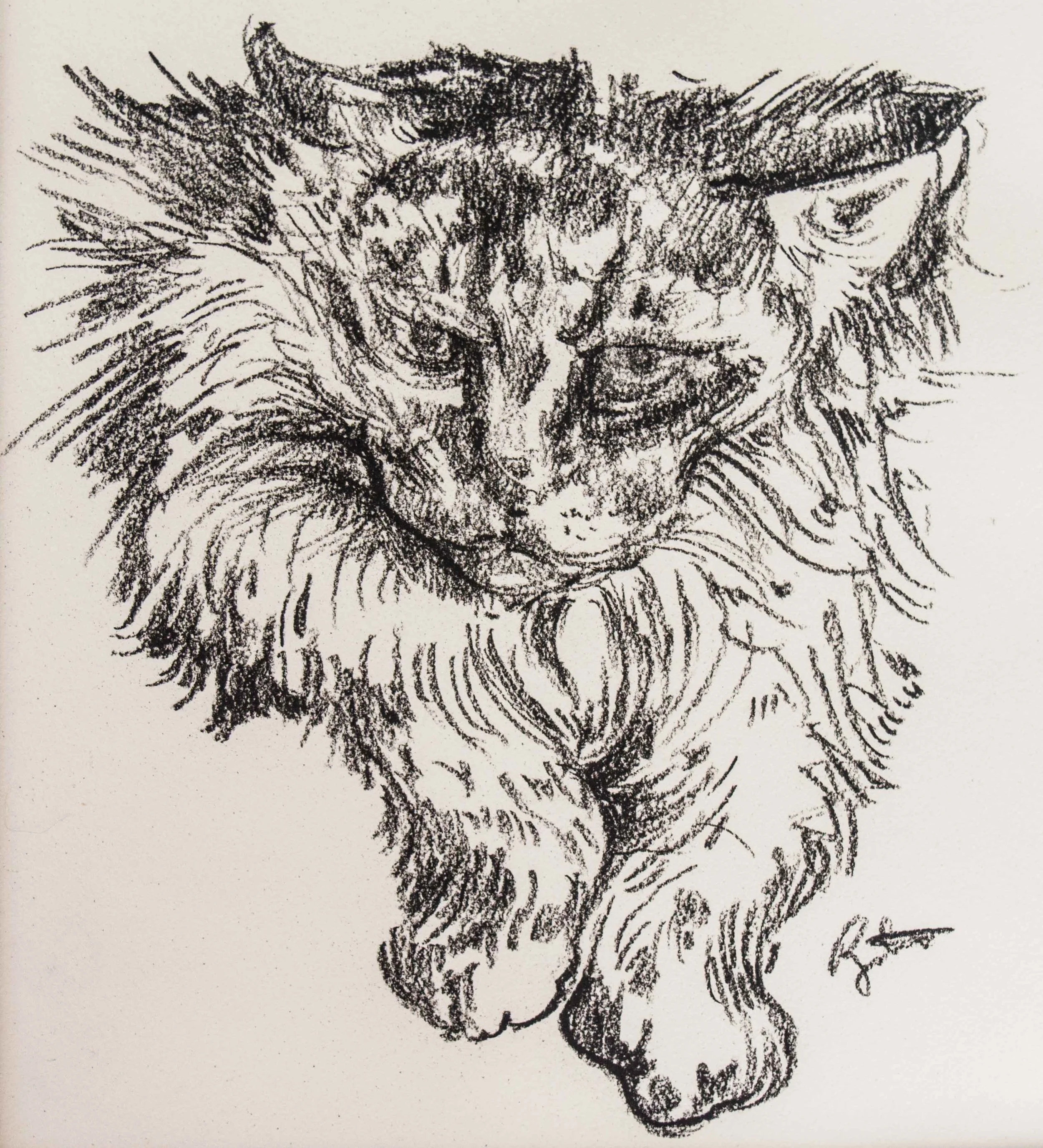 PORTRAIT-OF-SOPHIE.jpg