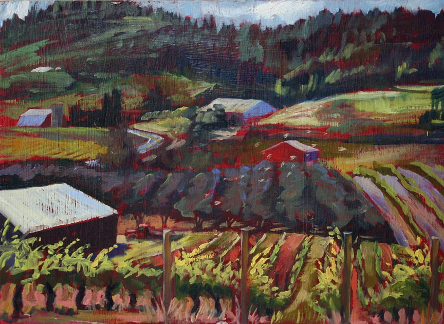 Wirtz Vineyard 3