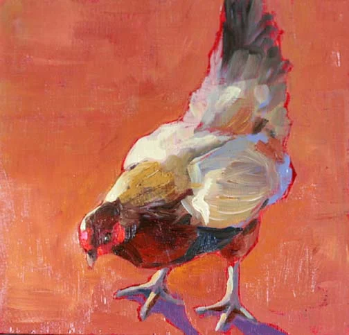 Chicken 5