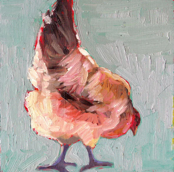 Araucana on Blue