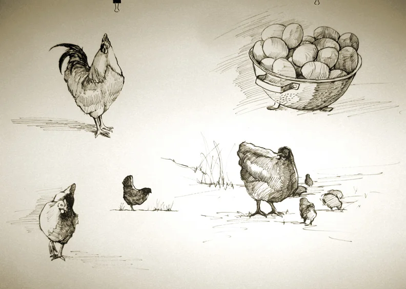 Chickens