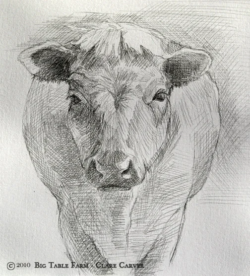 Cow
