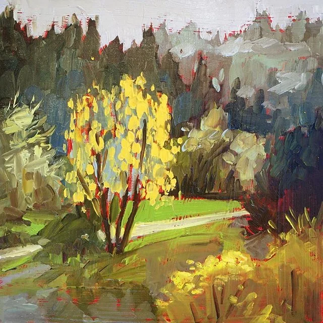 across the road