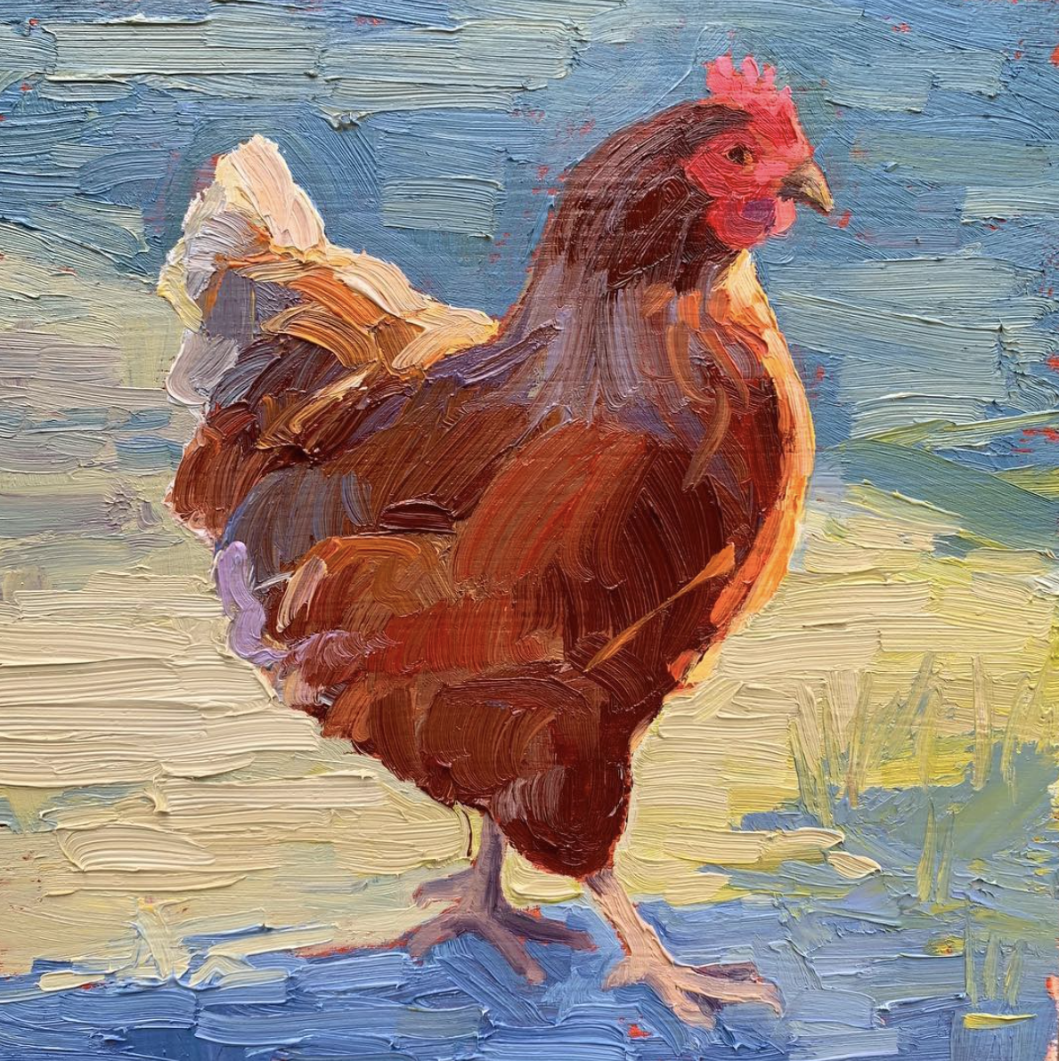 Rhode Island red on blue