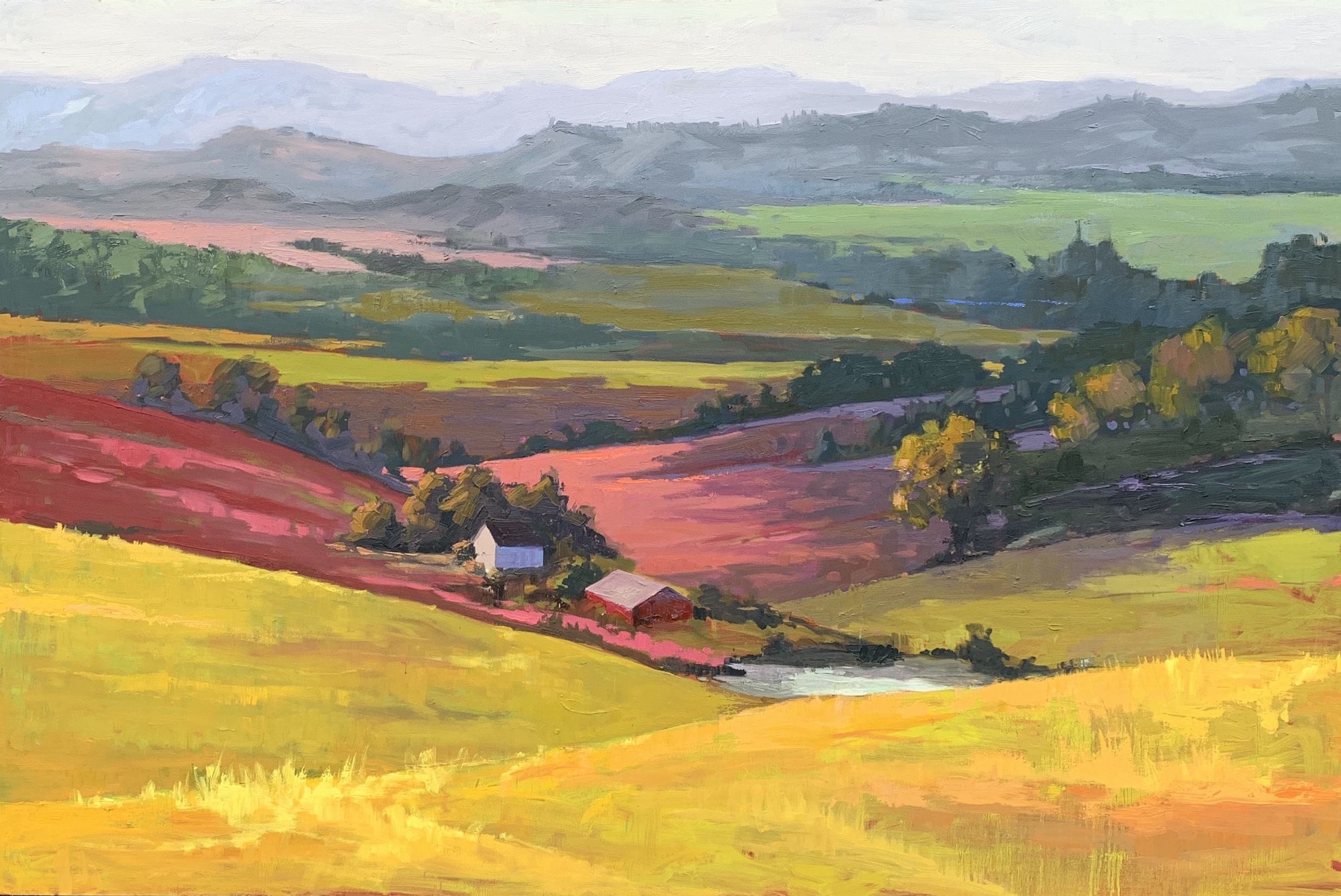 Oak Hill road clover