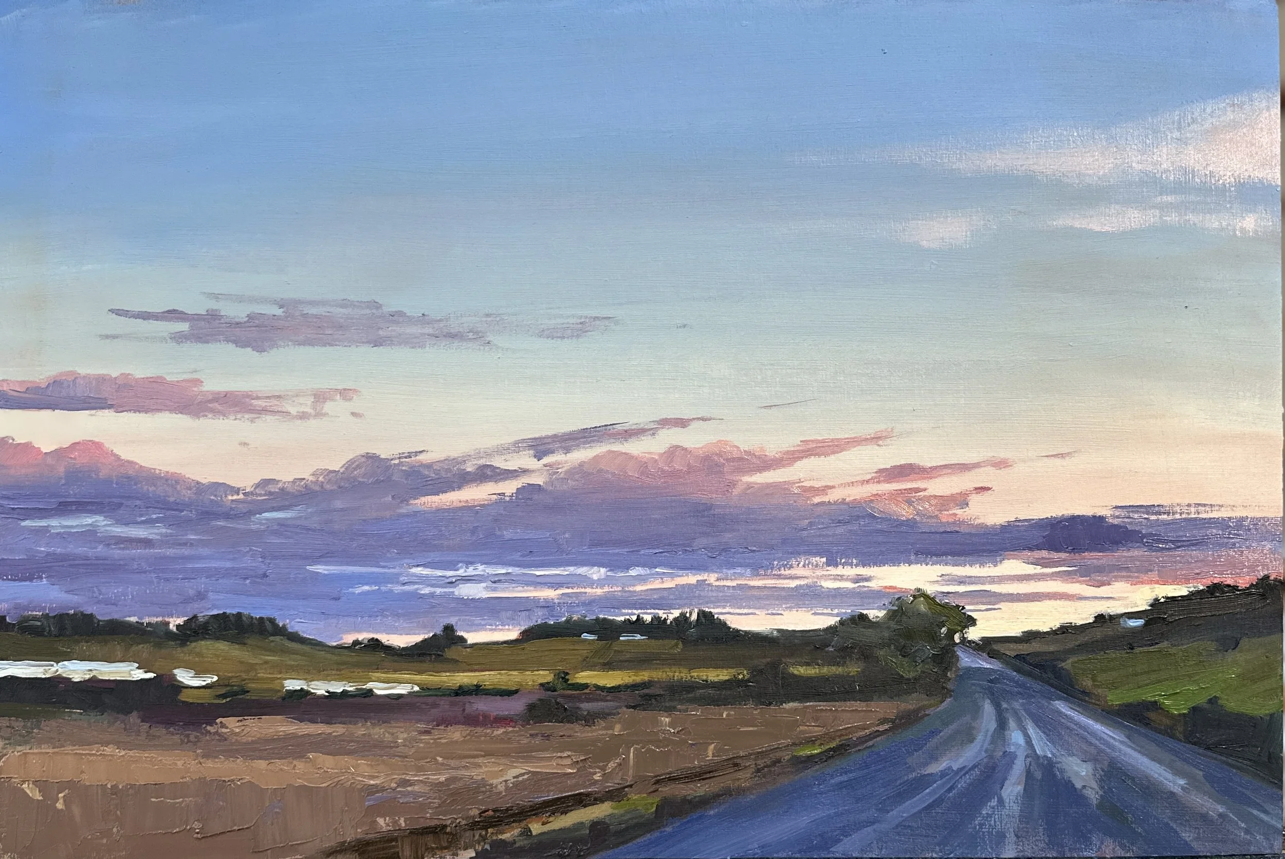 Bishop Scott Road at Twilight- study