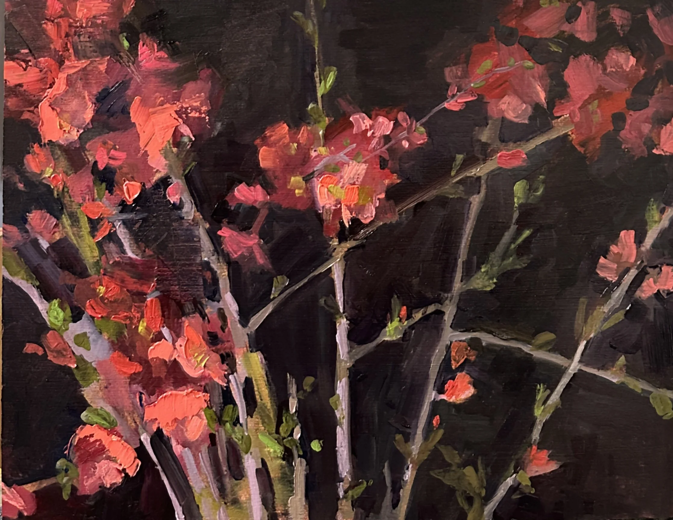 Quince Study