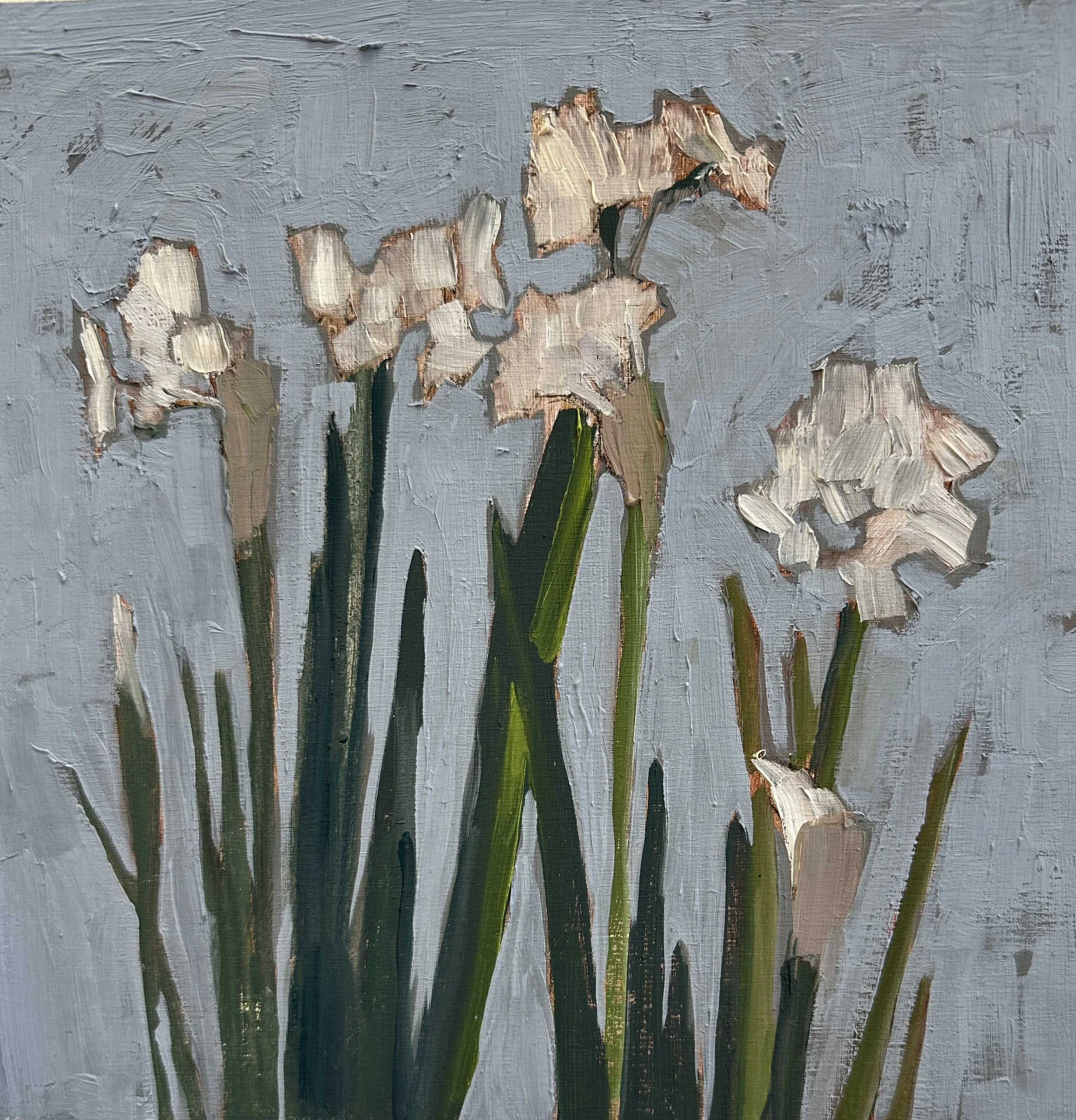 Paperwhite Study 7