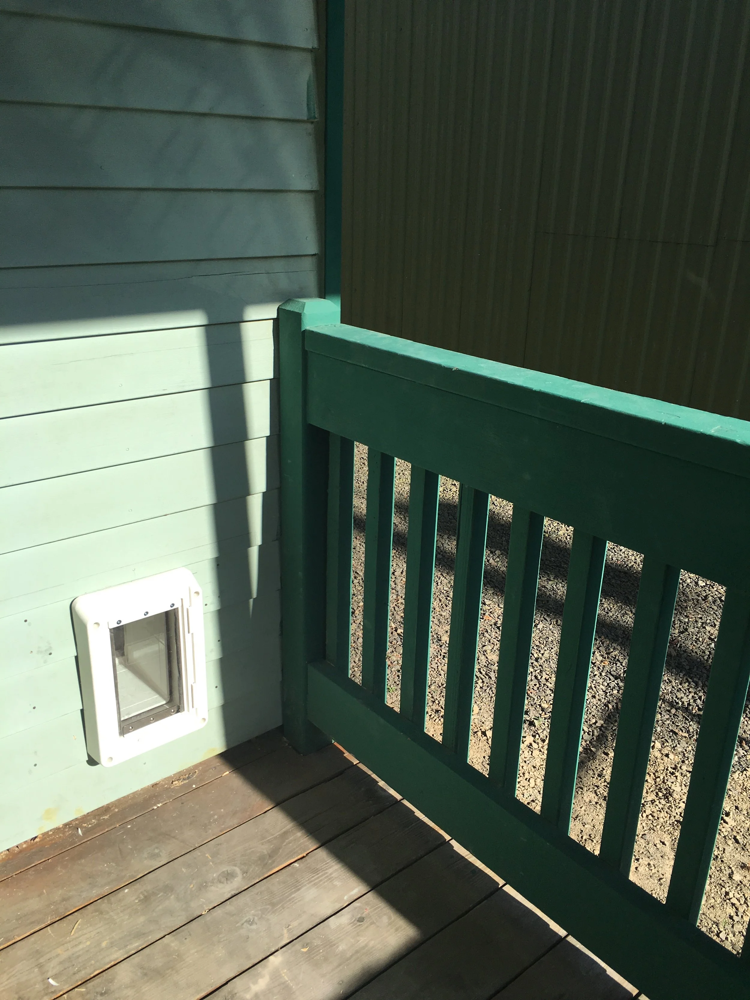 Cat door installed (front porch view)