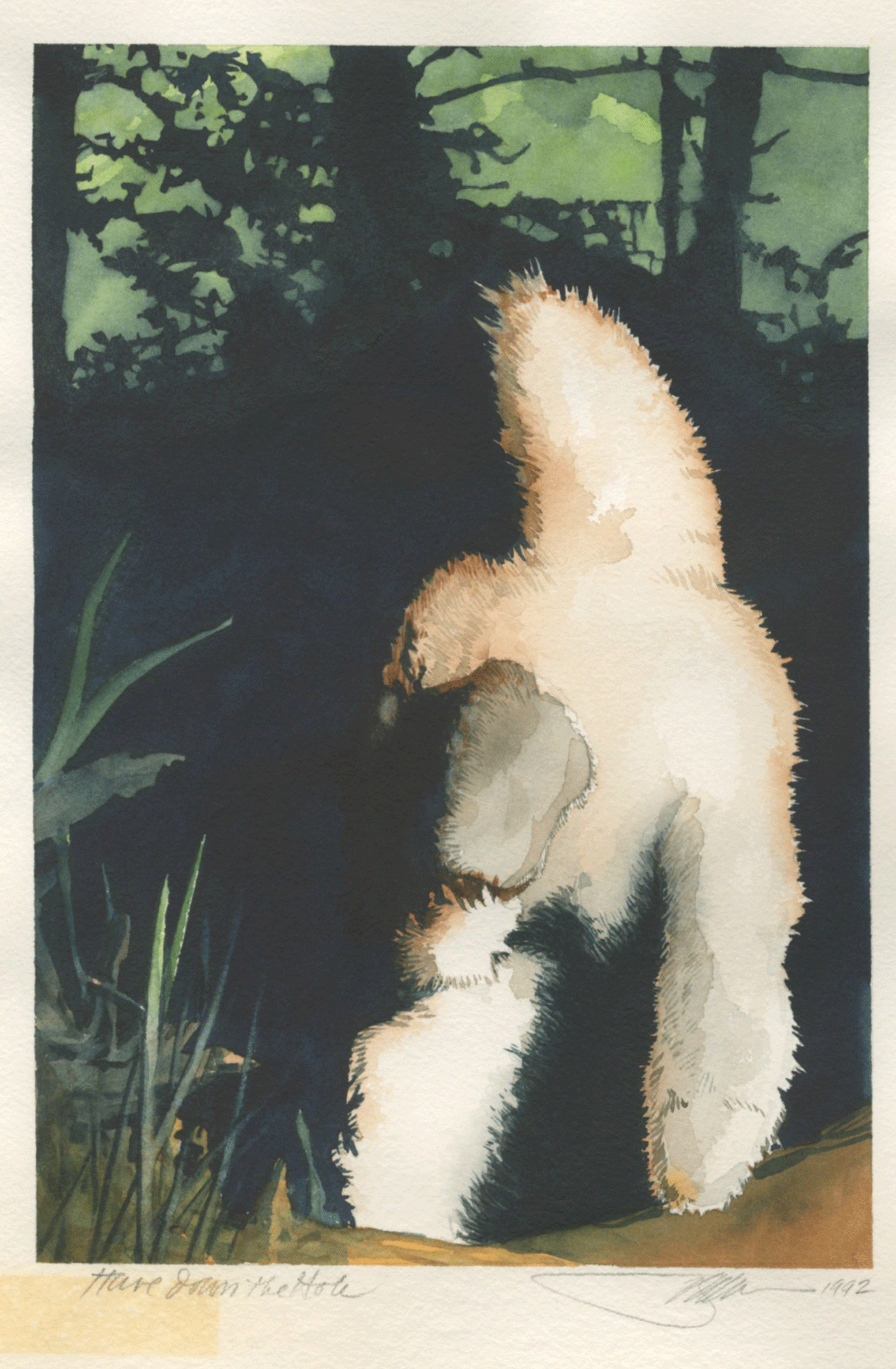 Watercolors - Animals — Barry Moser—Pennyroyal Press