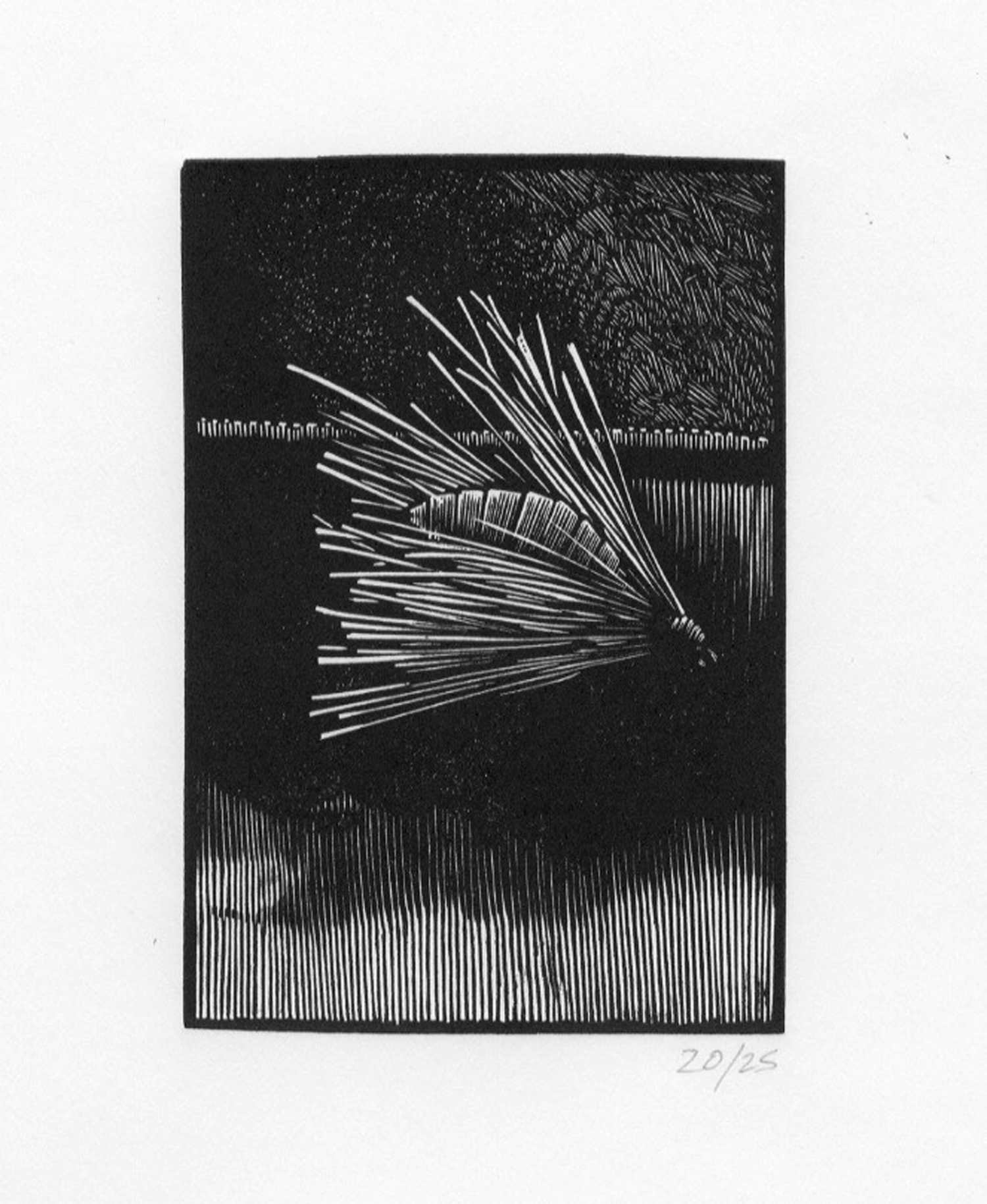 fly-4.gif