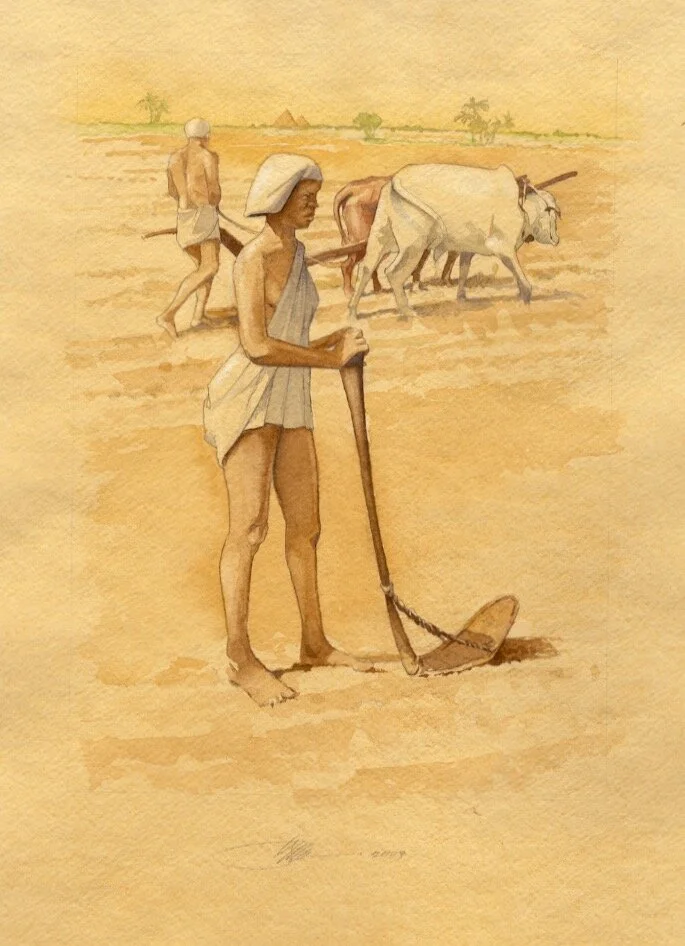 Egyptian Farmer.jpeg