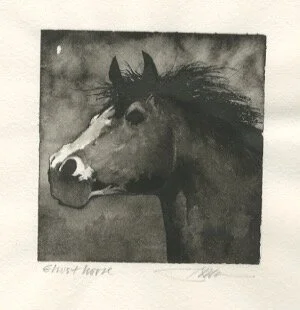 ghost horse.jpeg