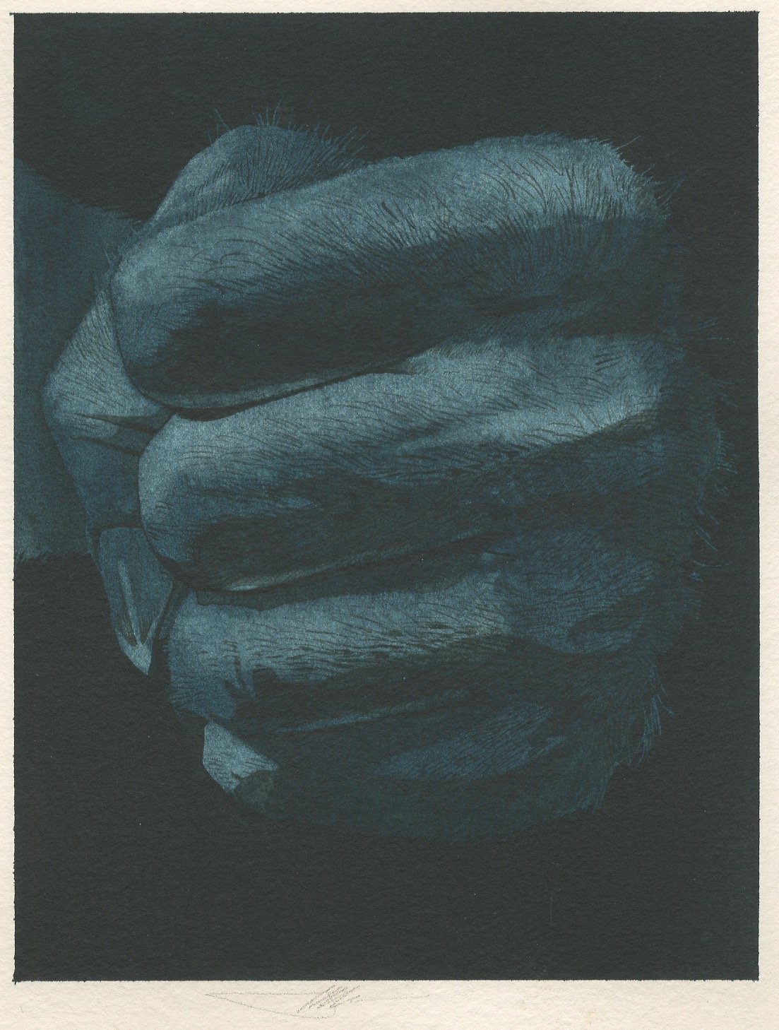 Trouble's Fist 5.25x6.75.jpeg