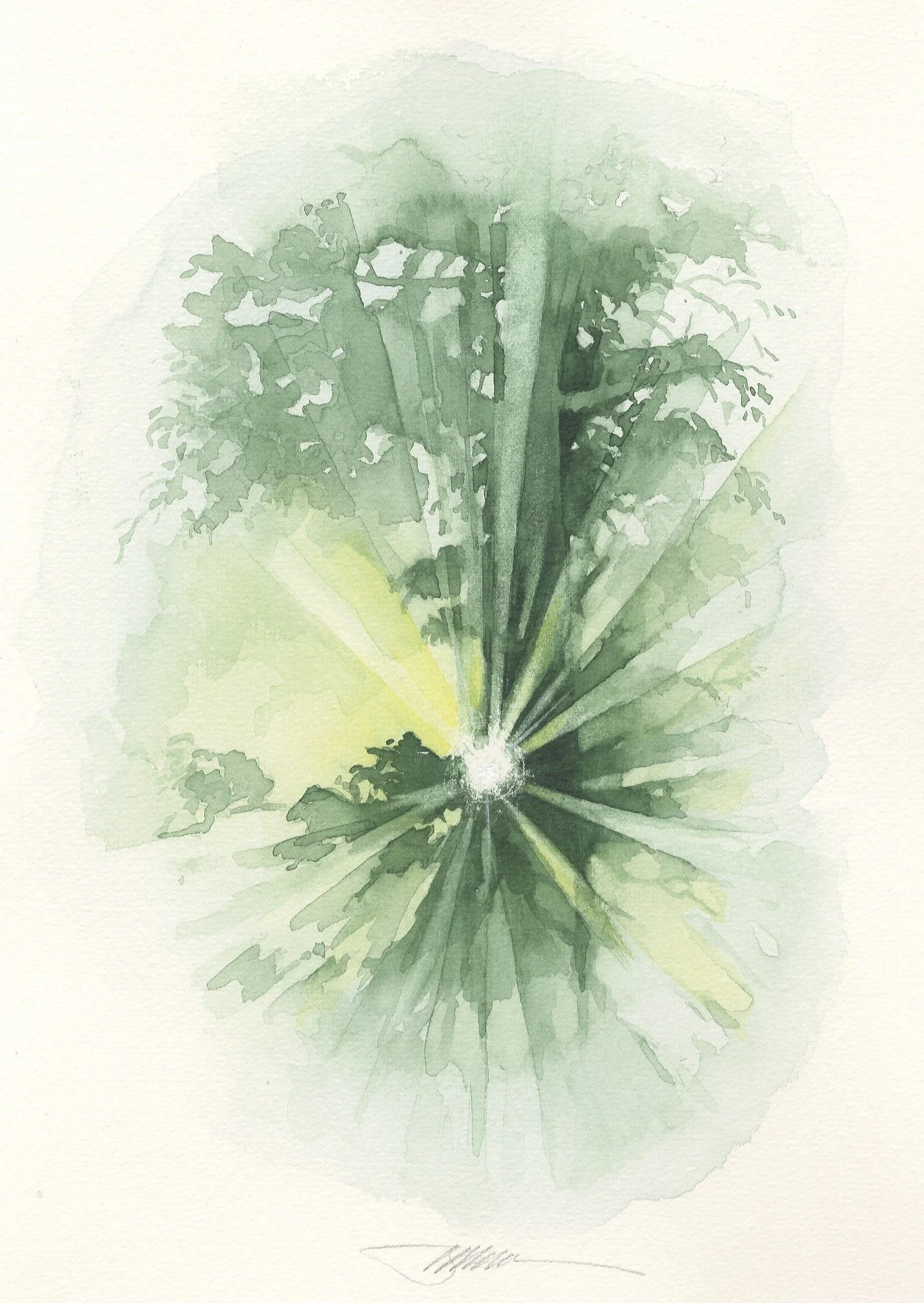 Sunlight 6.75 x 9.5.jpeg