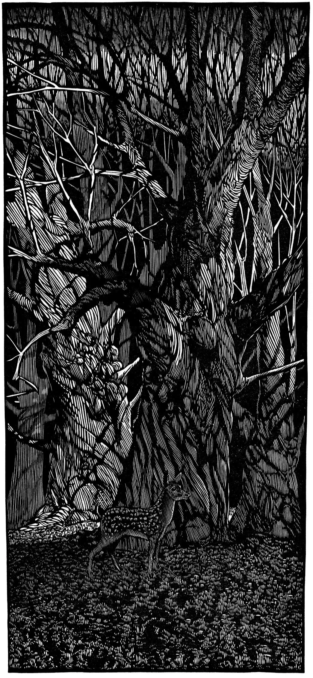 The Fawn 11 x 5%22.jpeg